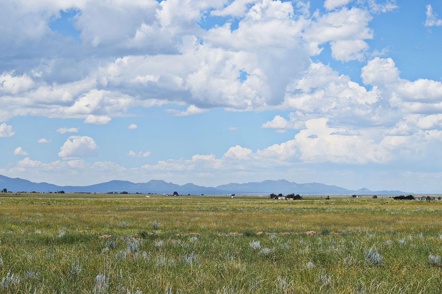 Photo 16 — Lot 5 Estancia Ranchettes 4