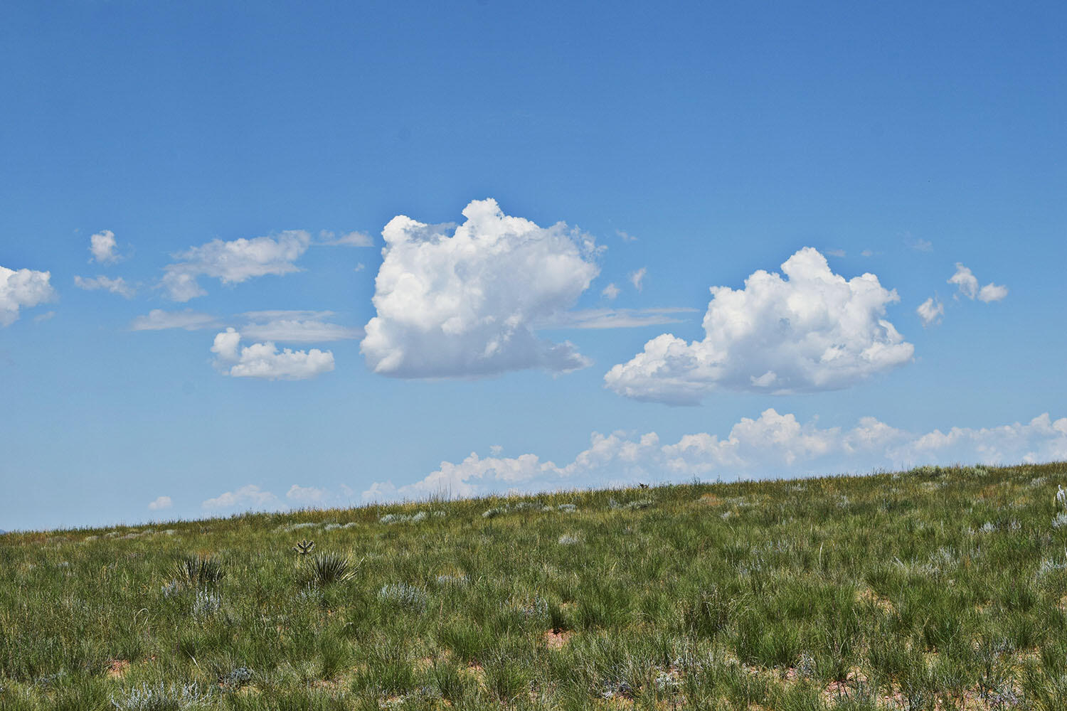 Photo 15 — Lot 36 Estancia Ranchettes 6