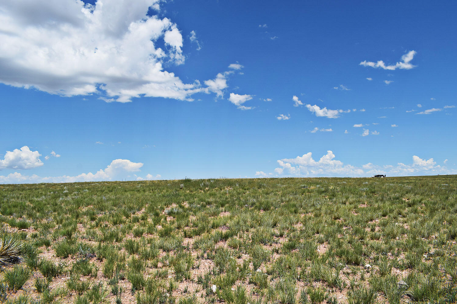 Photo 16 — Lot 36 Estancia Ranchettes 6