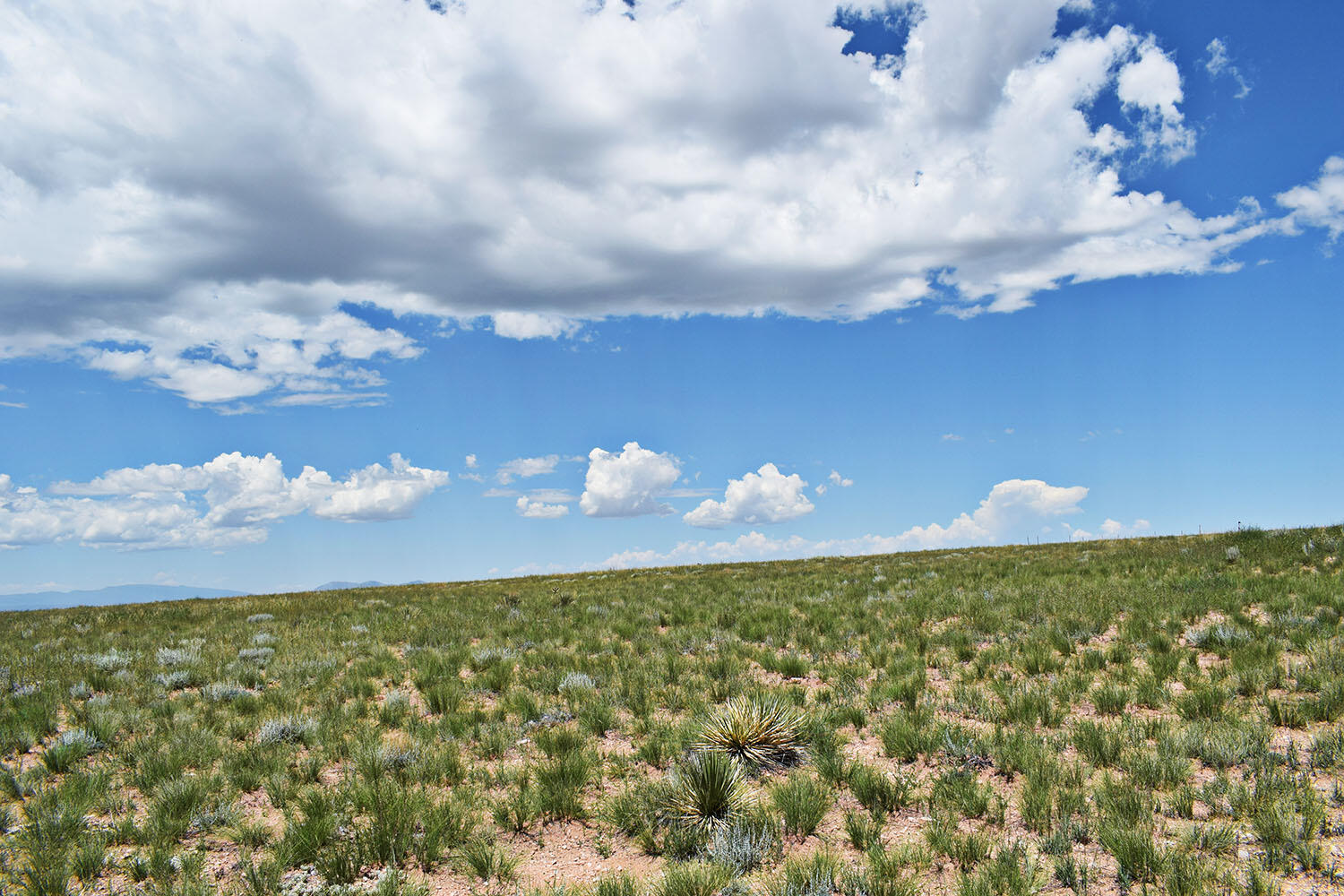 Photo 17 — Lot 36 Estancia Ranchettes 6