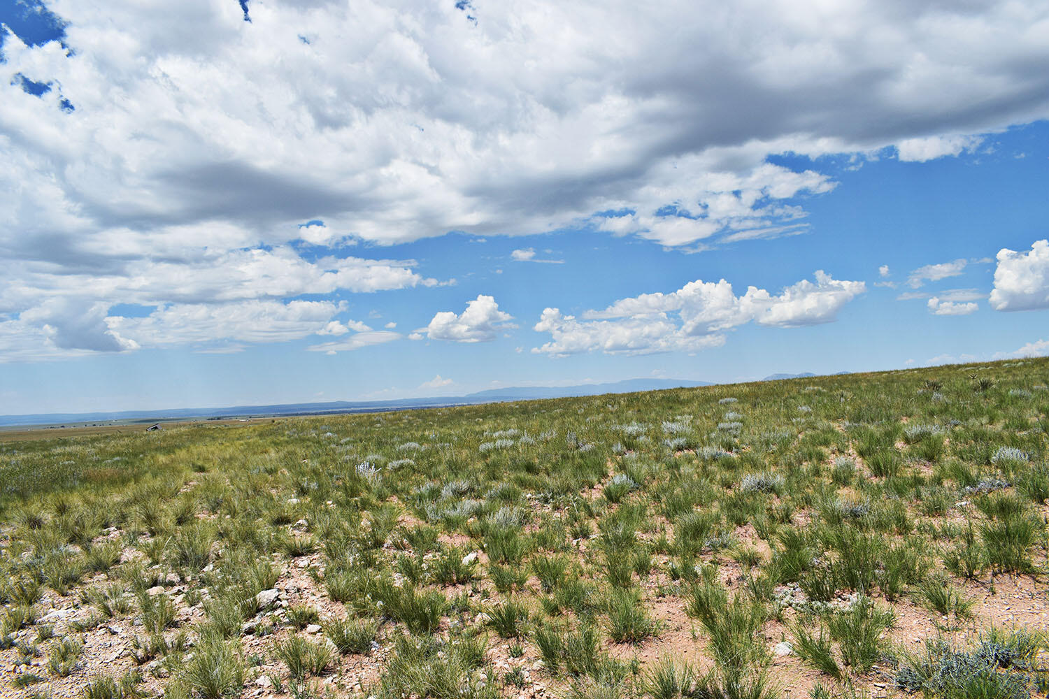 Photo 18 — Lot 36 Estancia Ranchettes 6