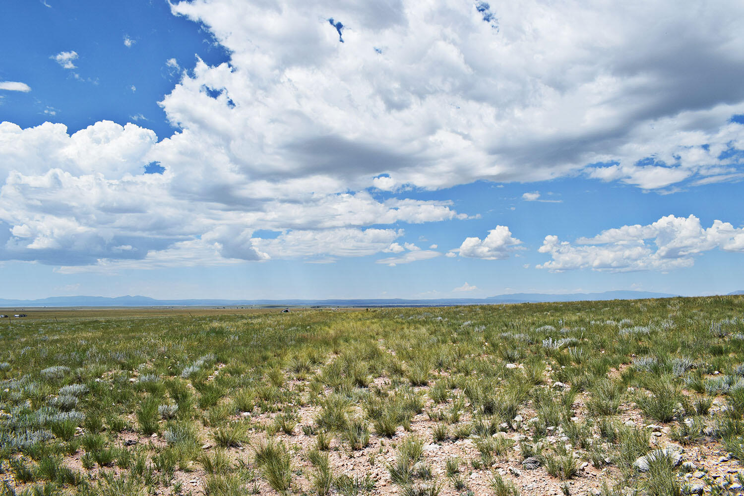 Photo 19 — Lot 36 Estancia Ranchettes 6