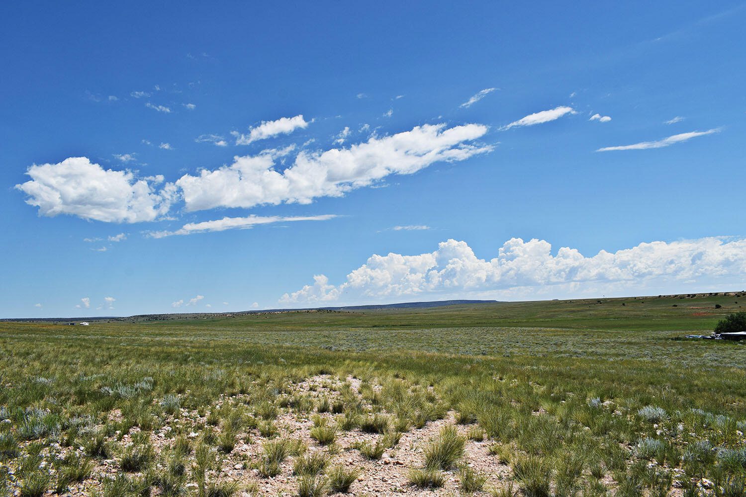 Photo 20 — Lot 36 Estancia Ranchettes 6