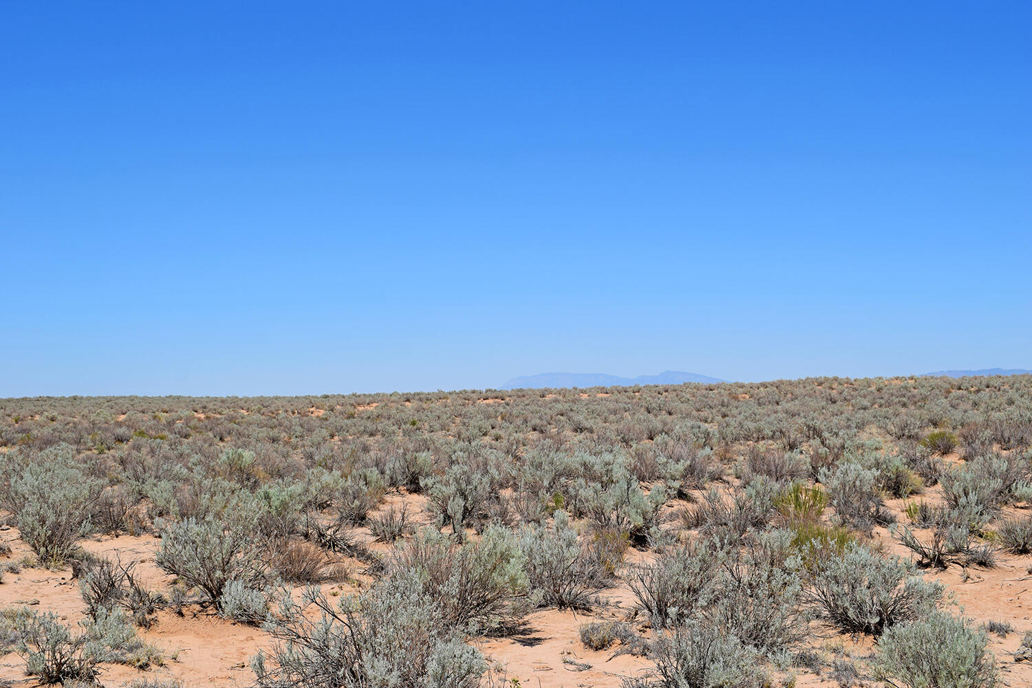Photo 5 — Lot 23 Rio Grande Estates U