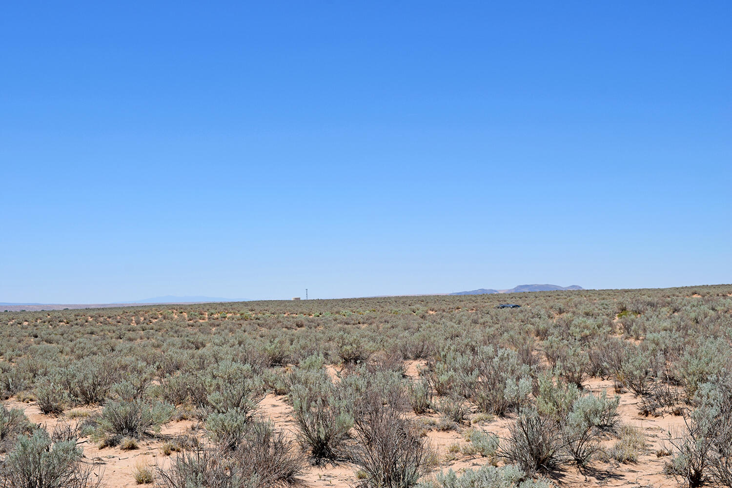 Photo 6 — Lot 23 Rio Grande Estates U