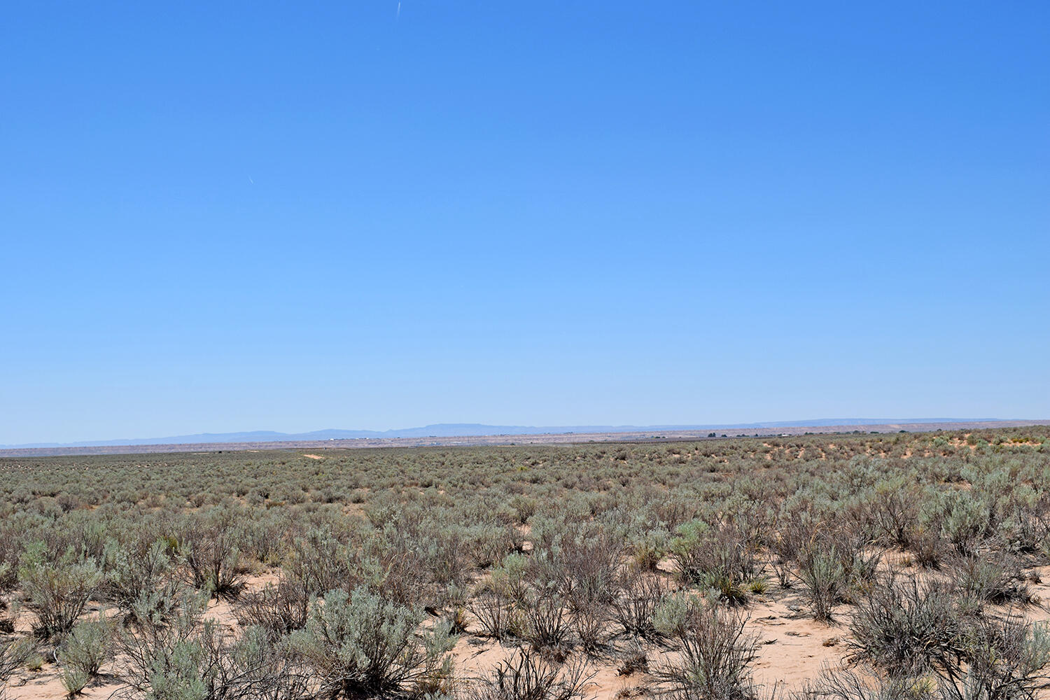 Photo 7 — Lot 23 Rio Grande Estates U