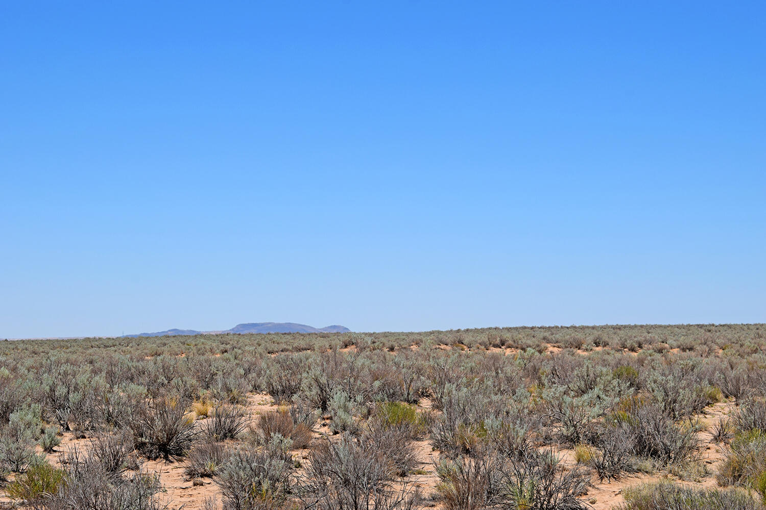 Photo 9 — Lot 23 Rio Grande Estates U