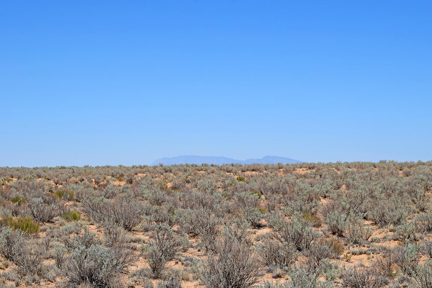 Photo 10 — Lot 23 Rio Grande Estates U