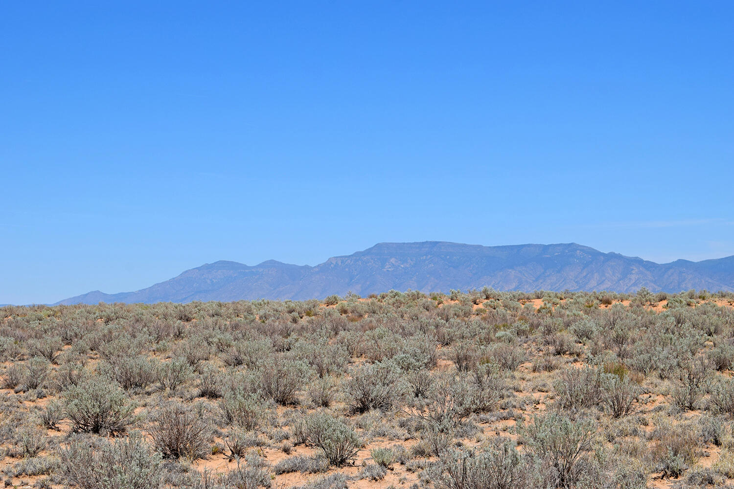 Photo 11 — Lot 23 Rio Grande Estates U