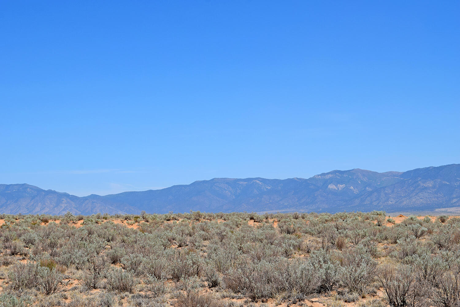 Photo 12 — Lot 23 Rio Grande Estates U