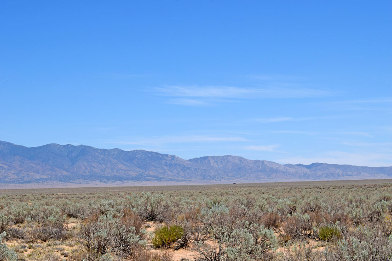 Photo 13 — Lot 23 Rio Grande Estates U
