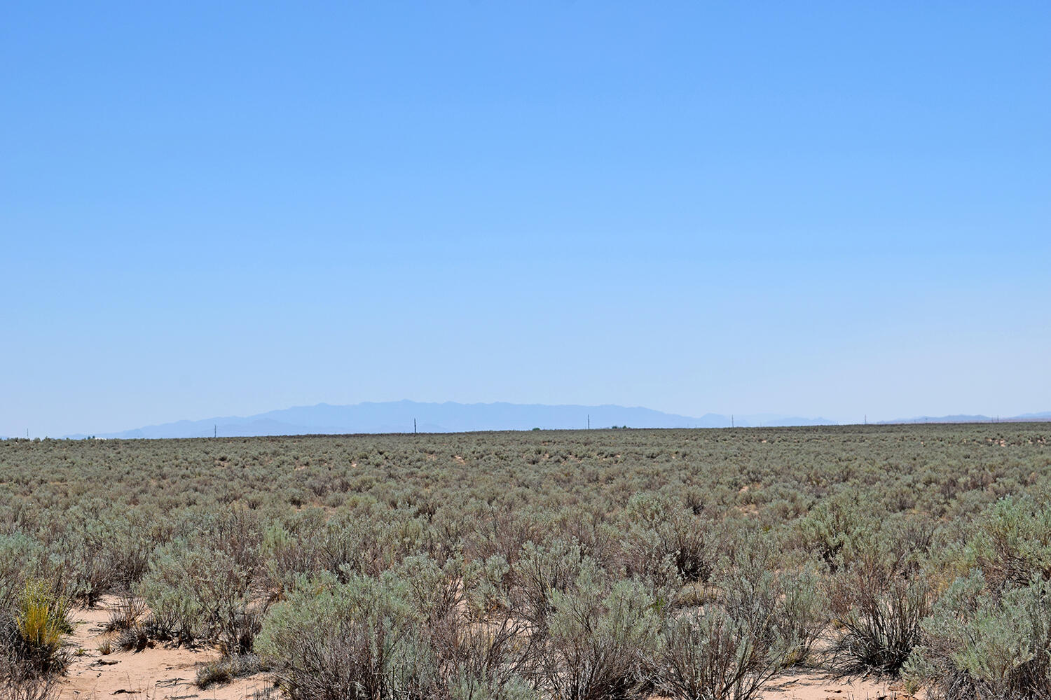 Photo 15 — Lot 23 Rio Grande Estates U