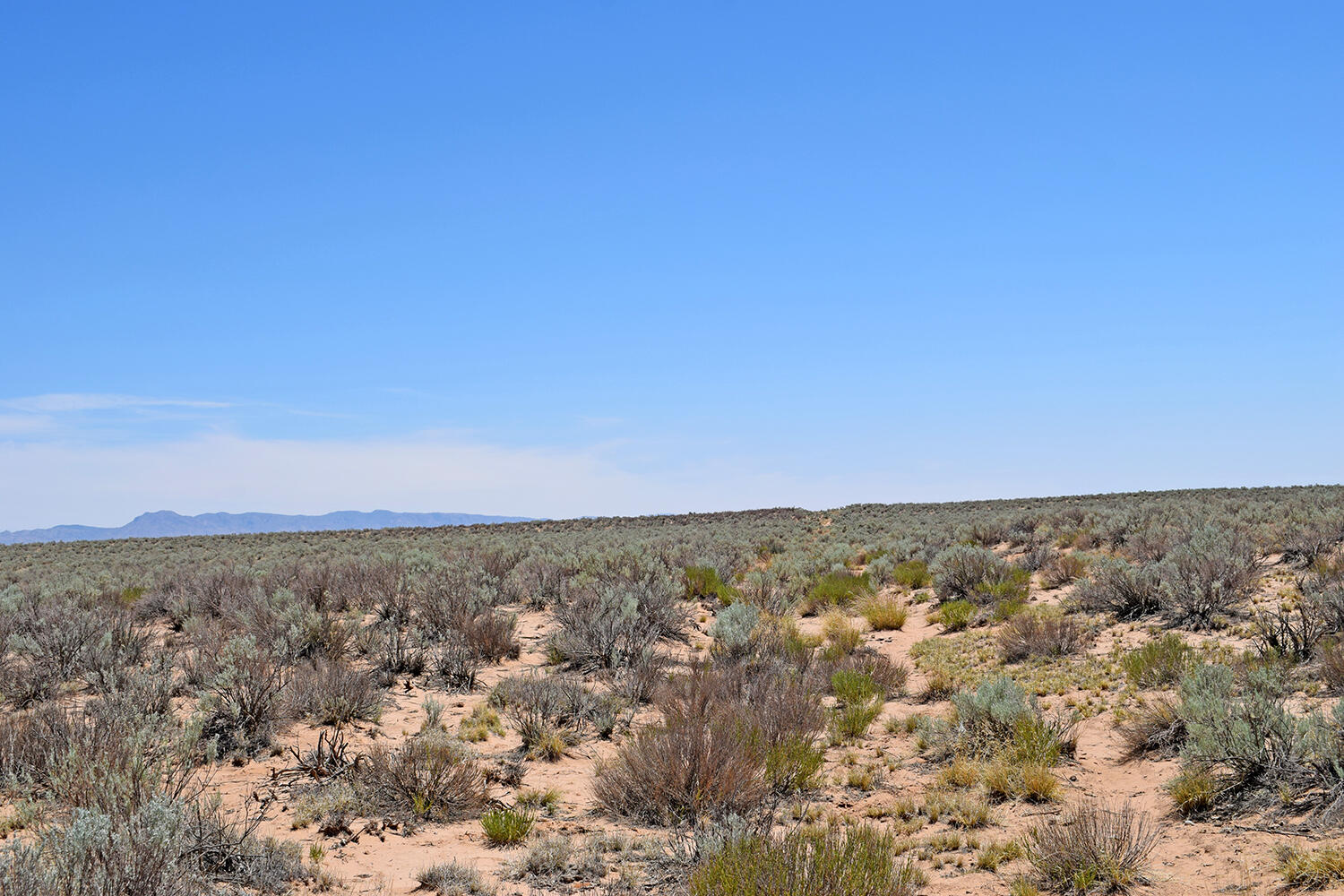 Photo 20 — Lot 23 Rio Grande Estates U