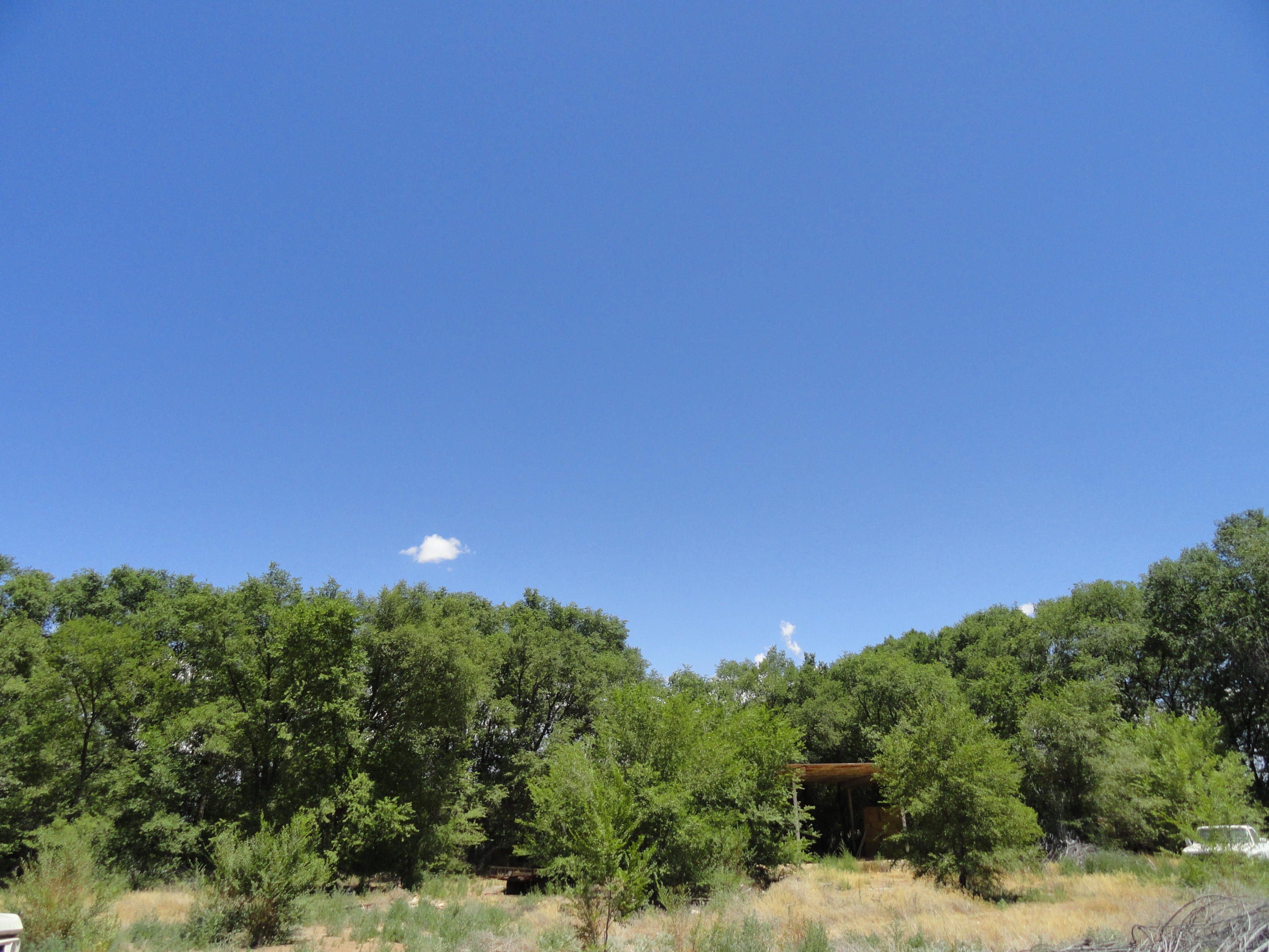 Photo 5 —  Molina Tract 6 Road