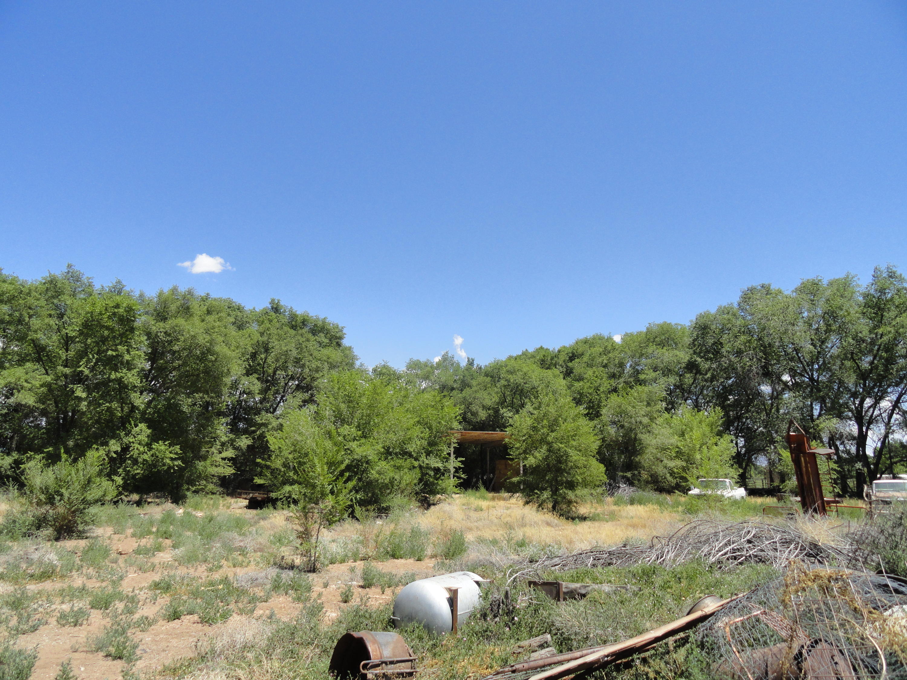 Photo 2 —  Molina Tract 6 Road