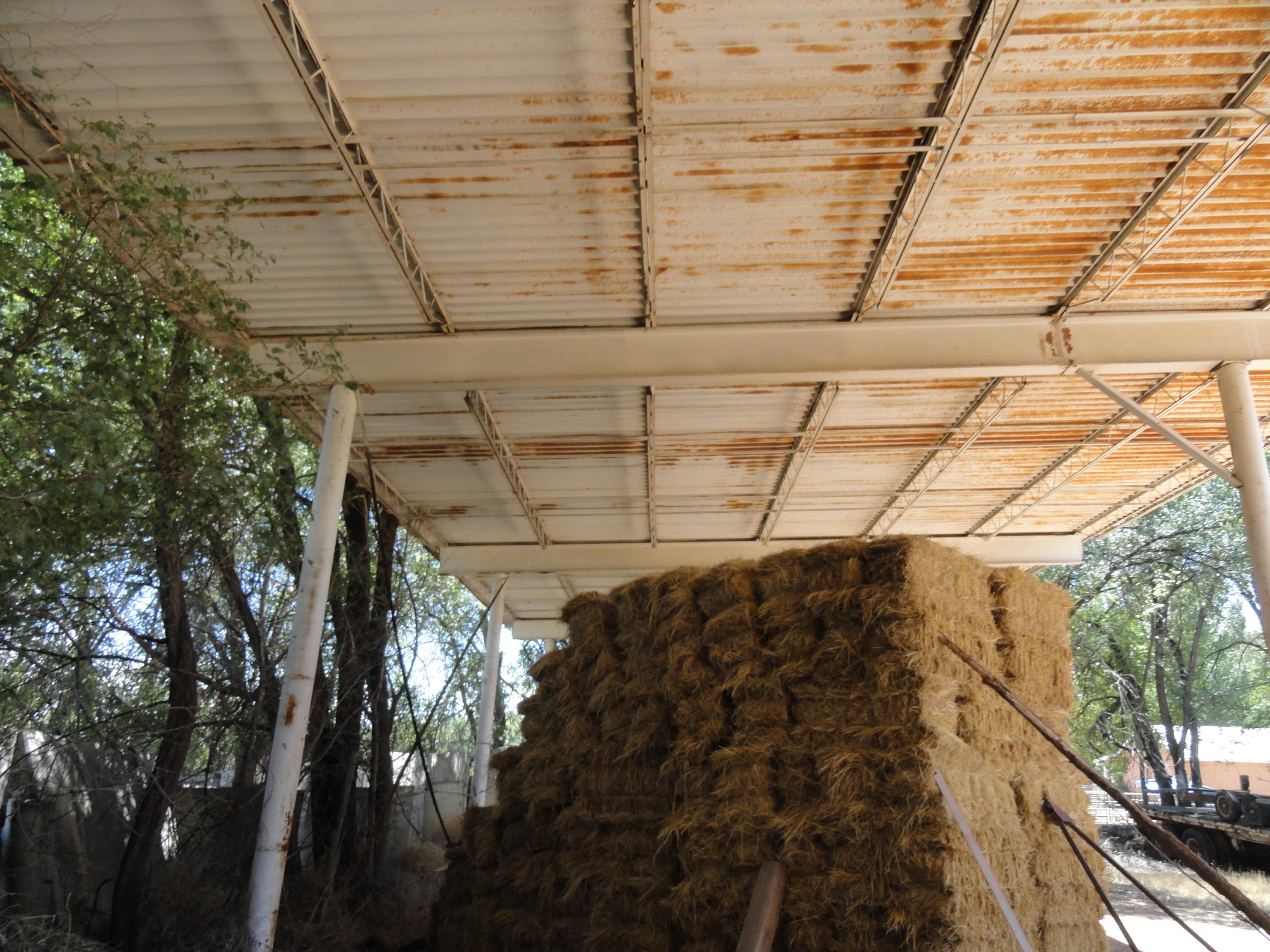 Photo 3 —  Molina Tract 6 Road