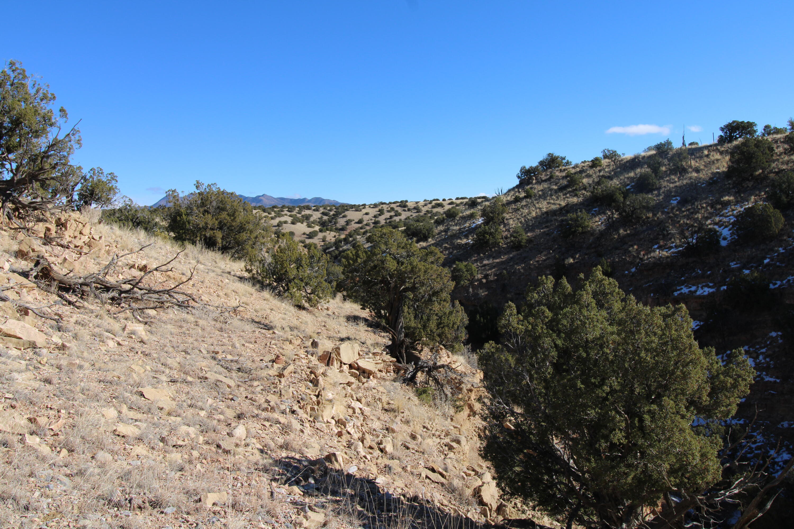 Photo 16 — 105 Acres Demetrio Road