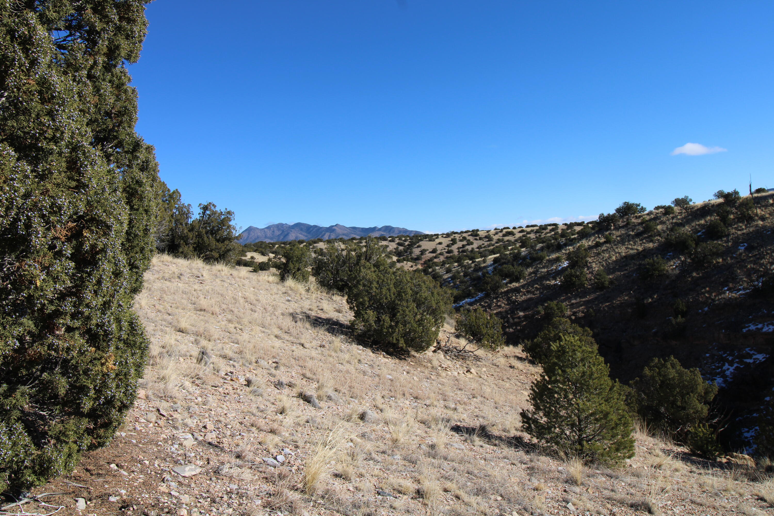 Photo 2 — 105 Acres Demetrio Road