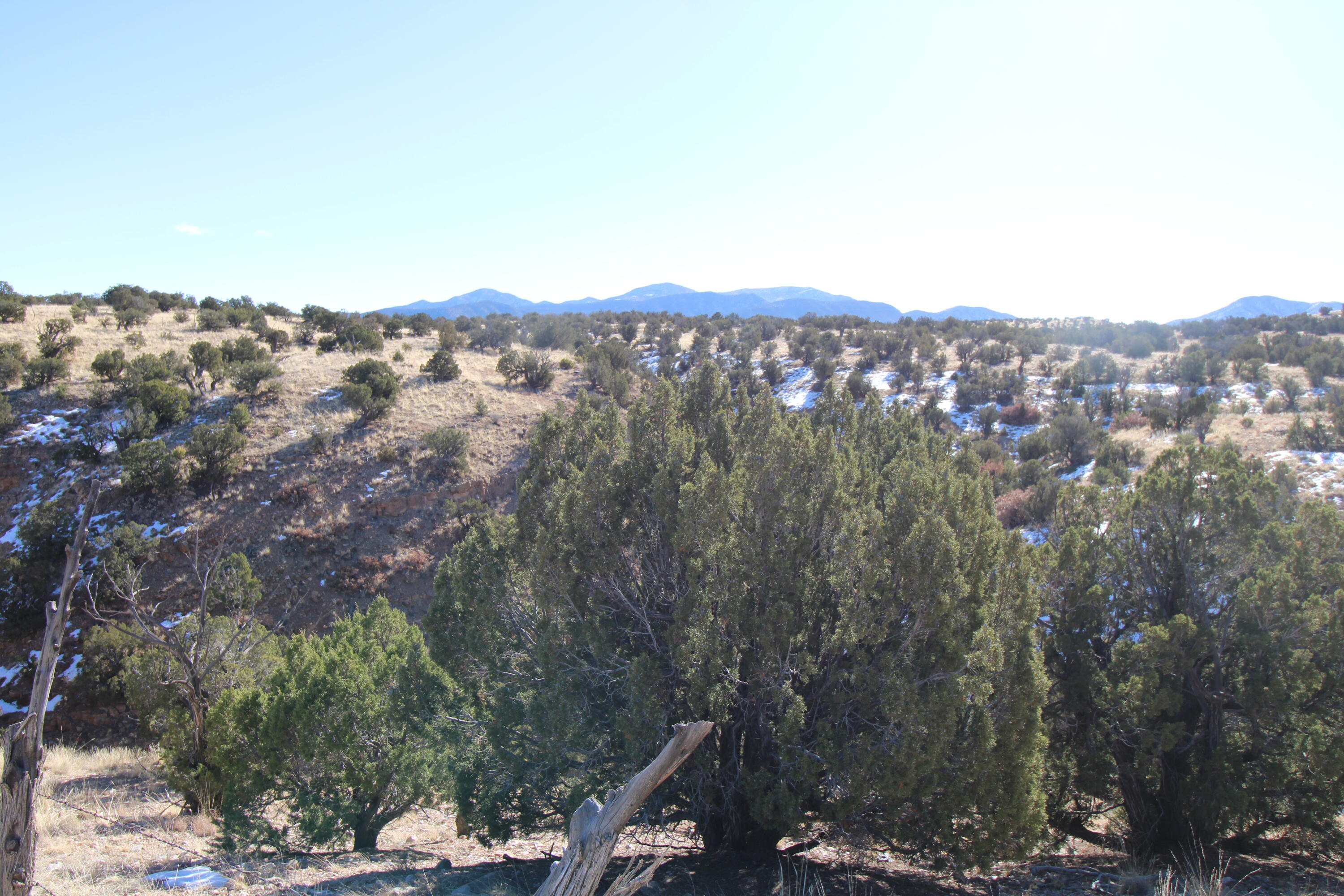 Photo 3 — 105 Acres Demetrio Road