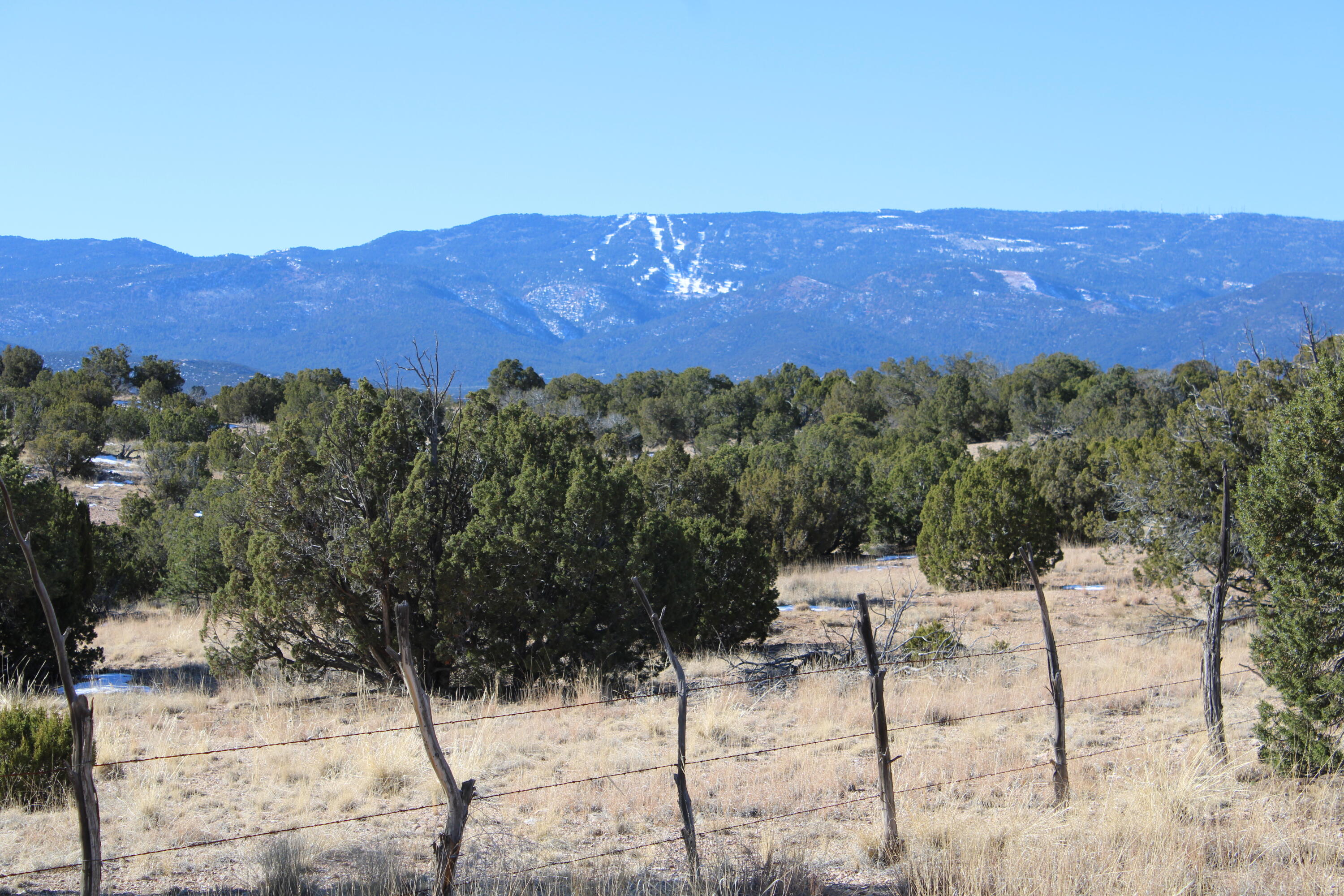 Photo 4 — 105 Acres Demetrio Road