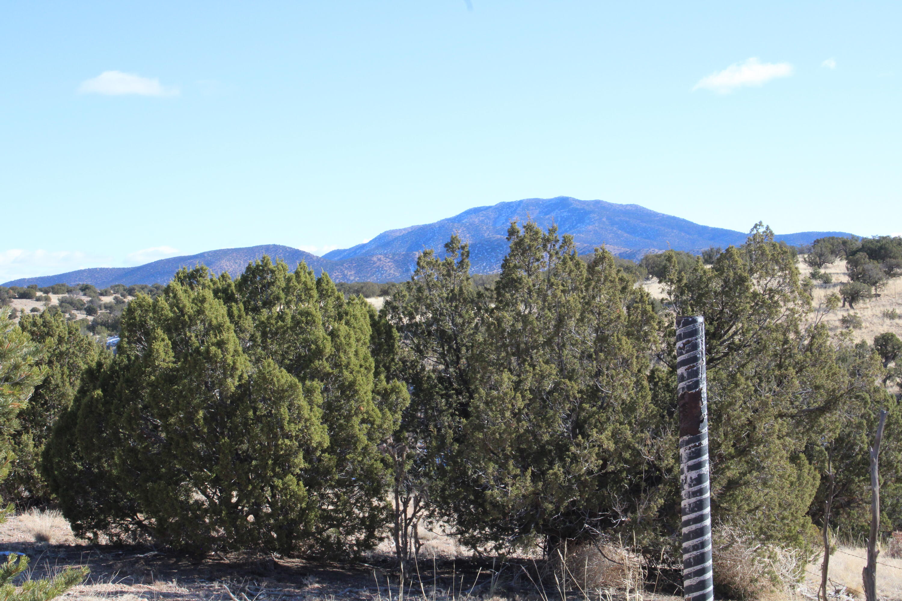Photo 5 — 105 Acres Demetrio Road