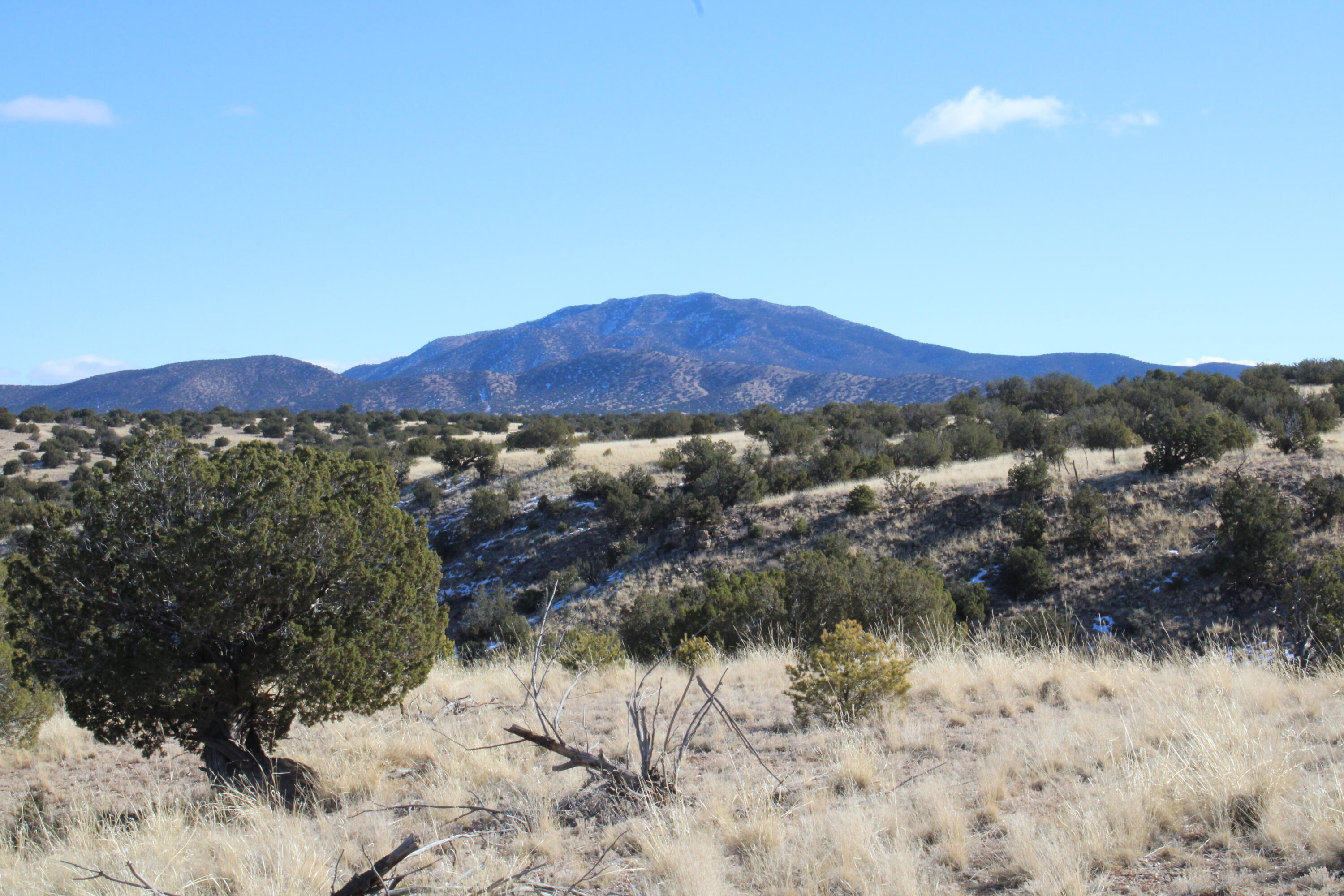 Photo 6 — 105 Acres Demetrio Road
