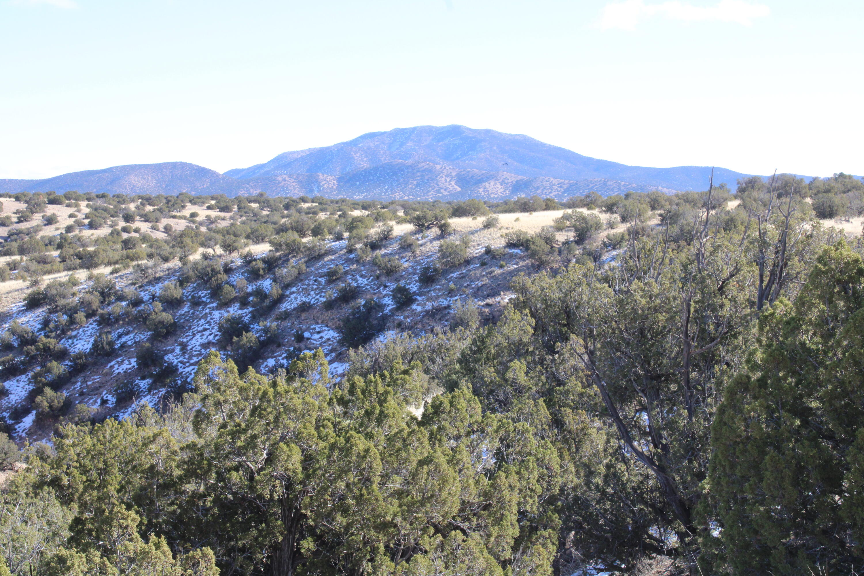 Photo 7 — 105 Acres Demetrio Road