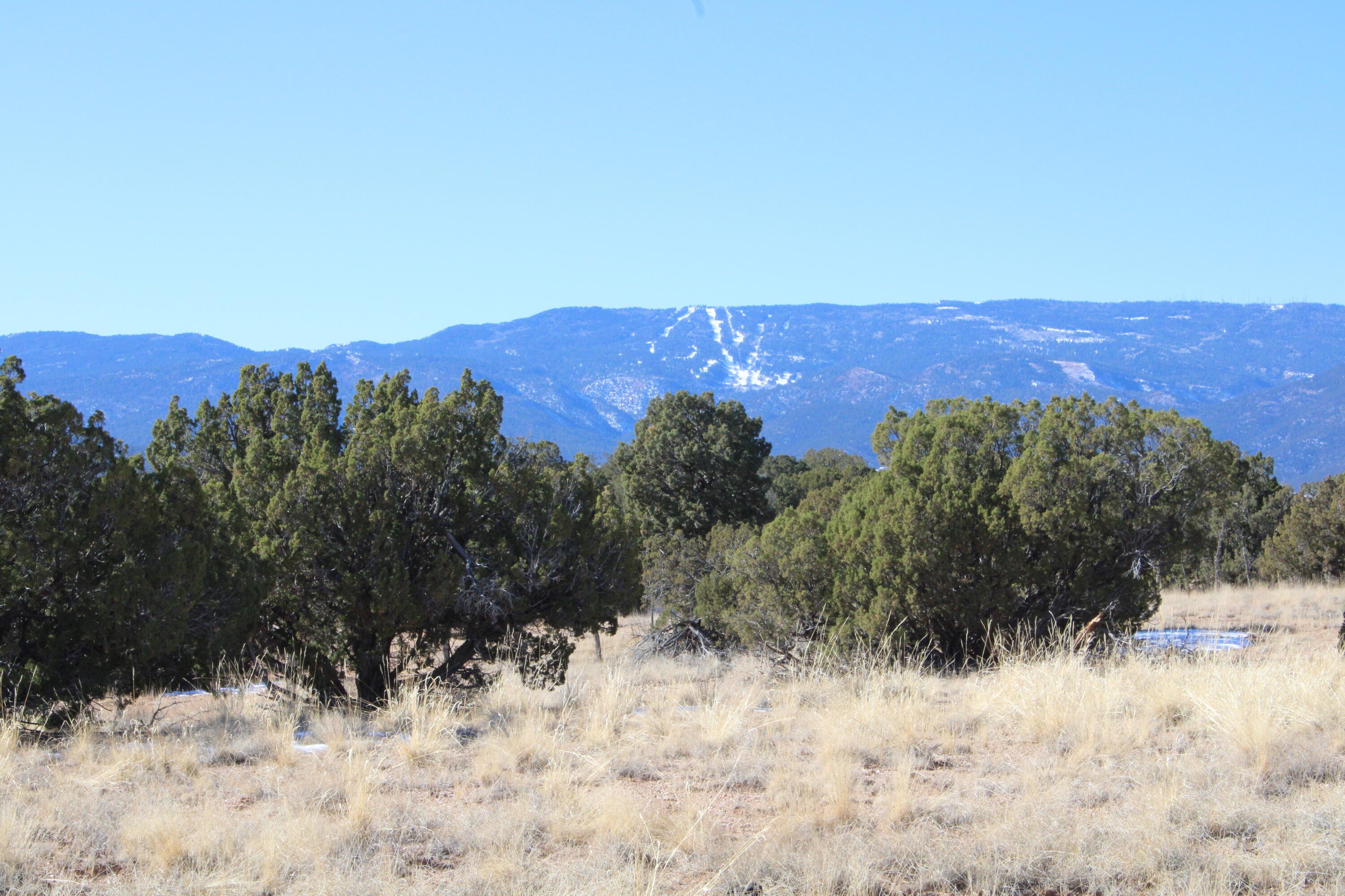 Photo 8 — 105 Acres Demetrio Road