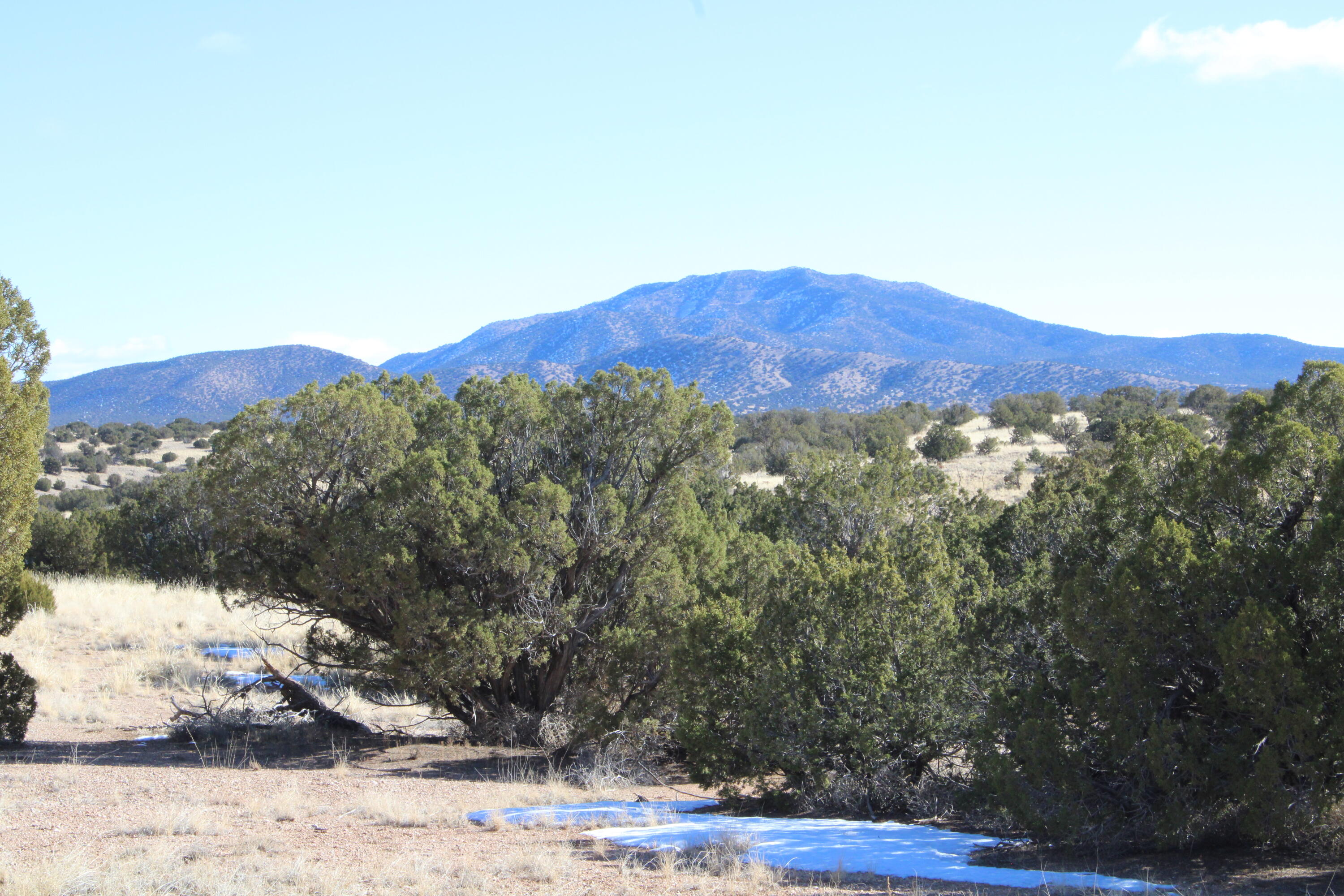 Photo 9 — 105 Acres Demetrio Road