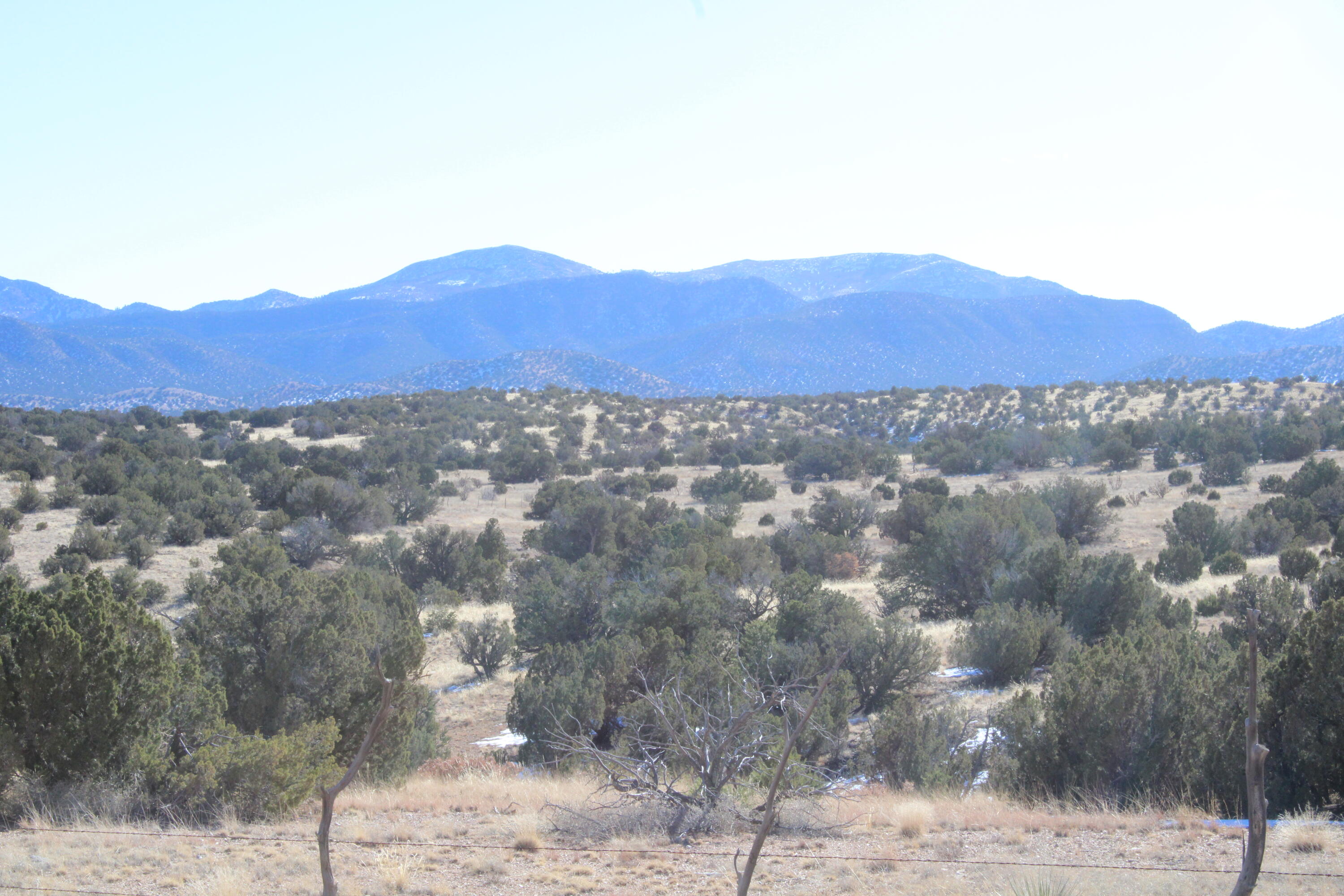 Photo 10 — 105 Acres Demetrio Road