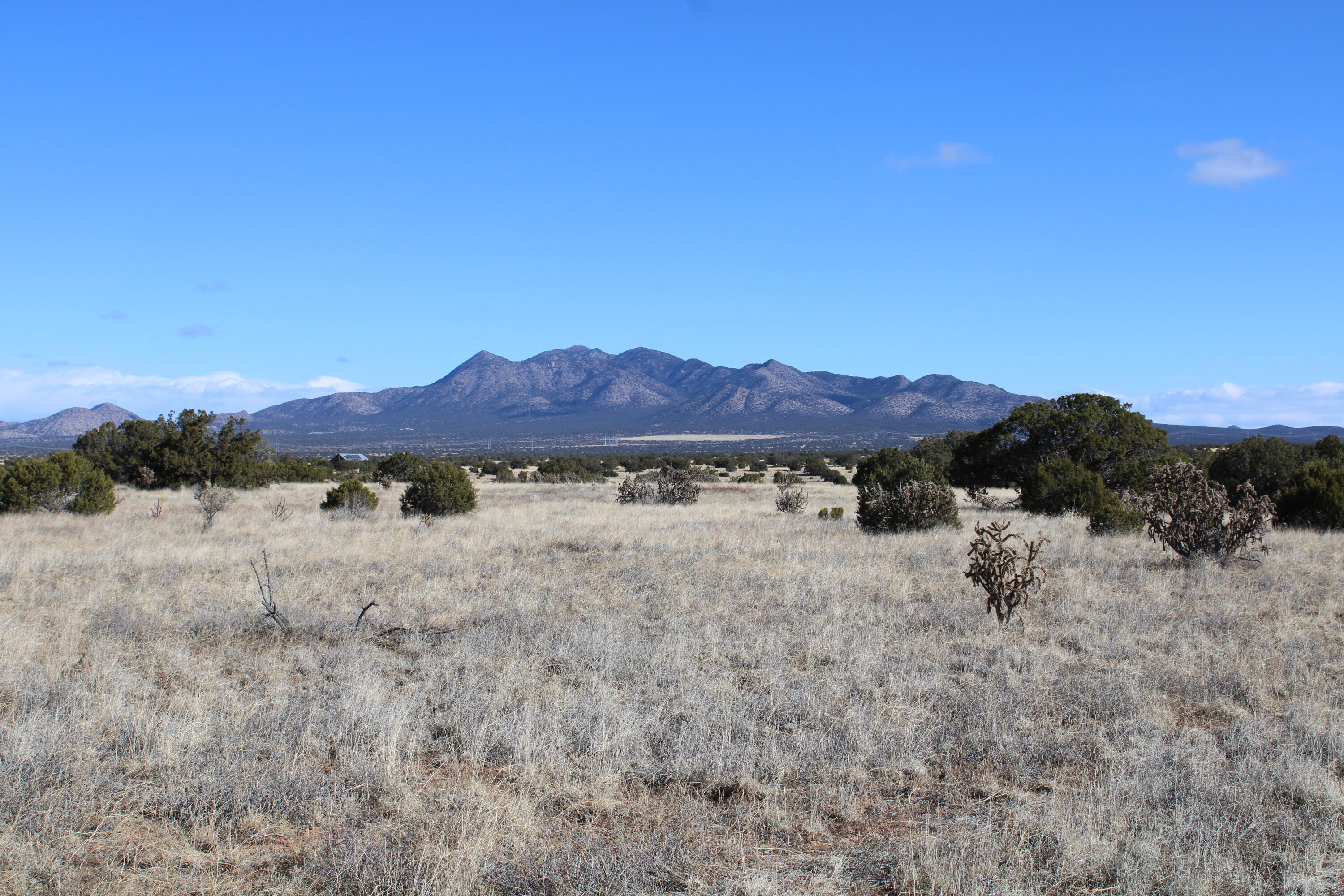 Photo 11 — 105 Acres Demetrio Road