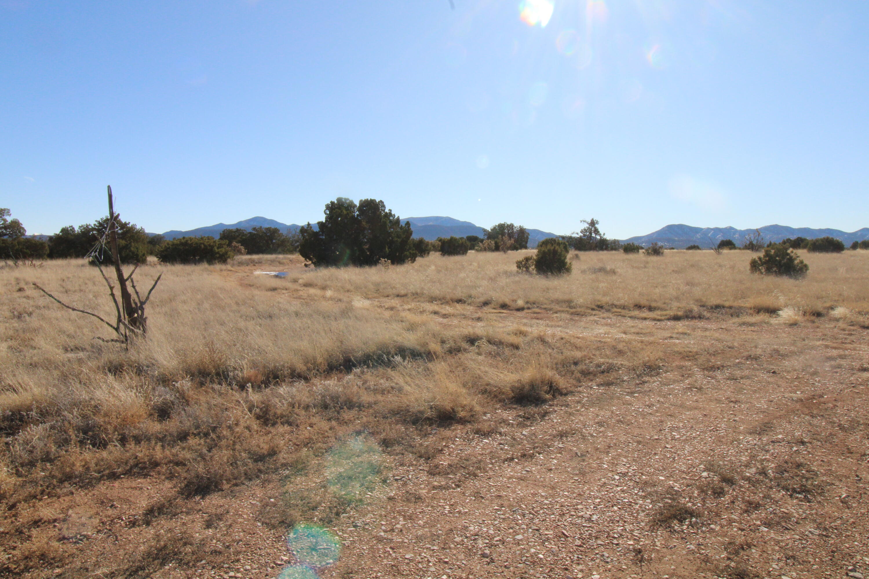 Photo 14 — 105 Acres Demetrio Road