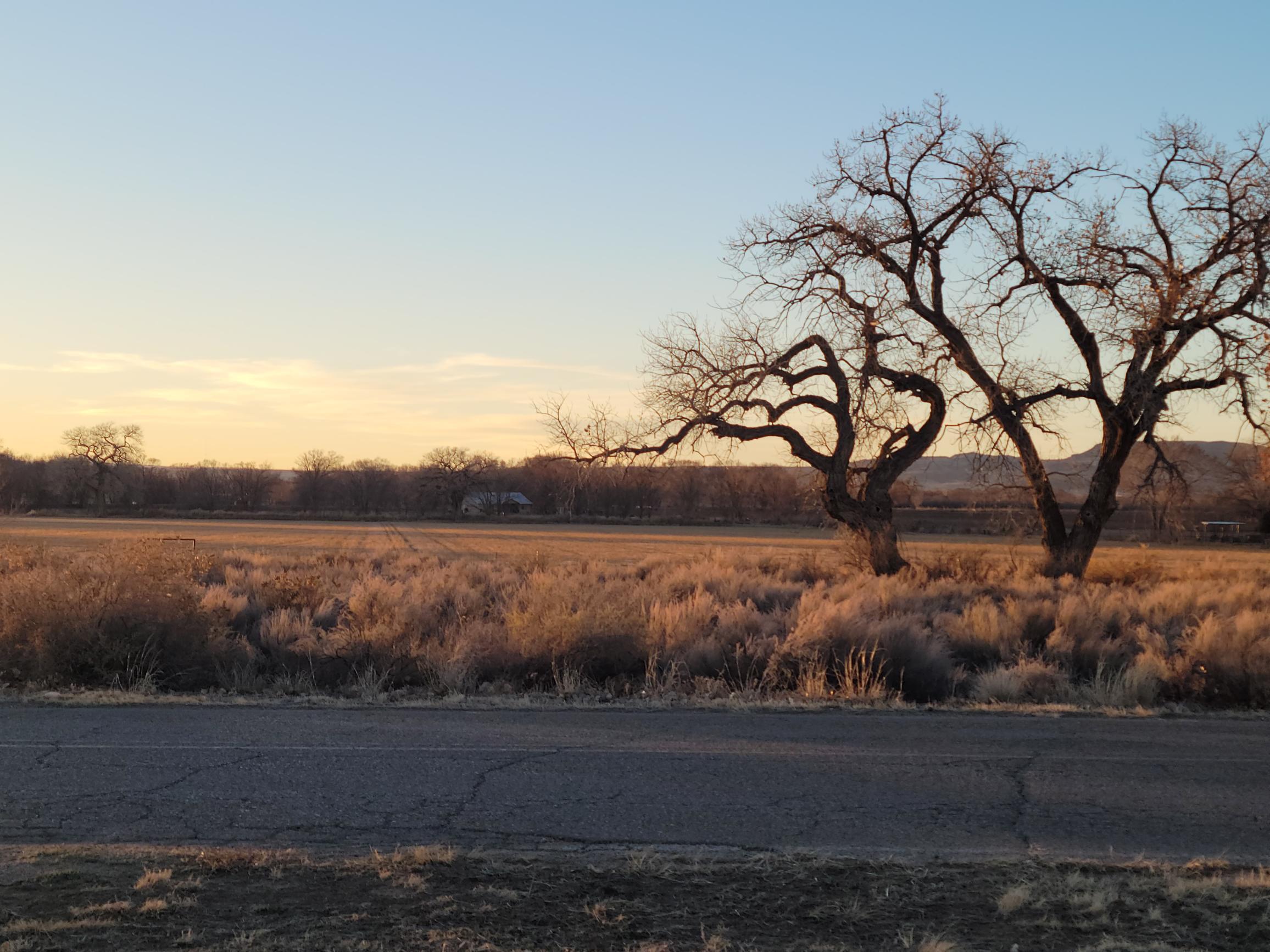 Photo 4 —  La Entrada Road