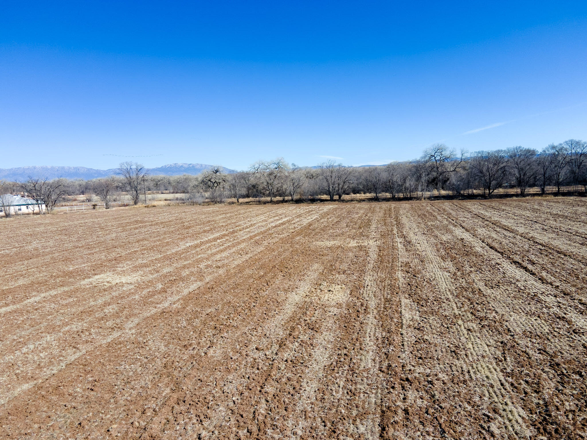 Photo 4 — 6830 Isleta Boulevard SW