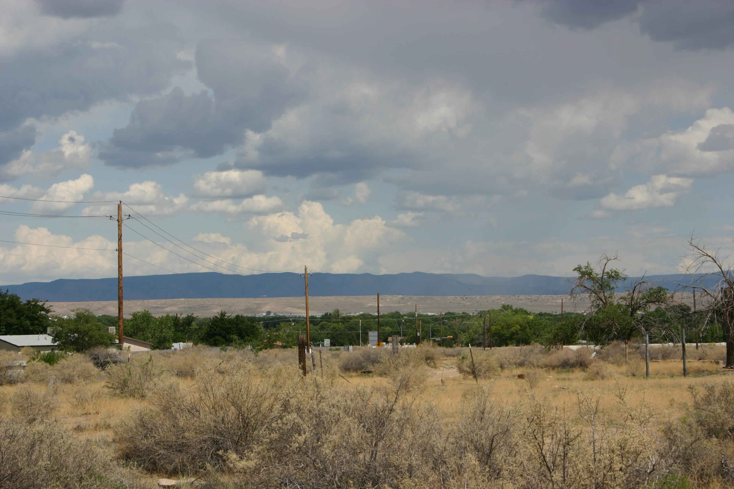 Photo 5 —  Off Pajarito (WF 9, 11, 12) Road SW