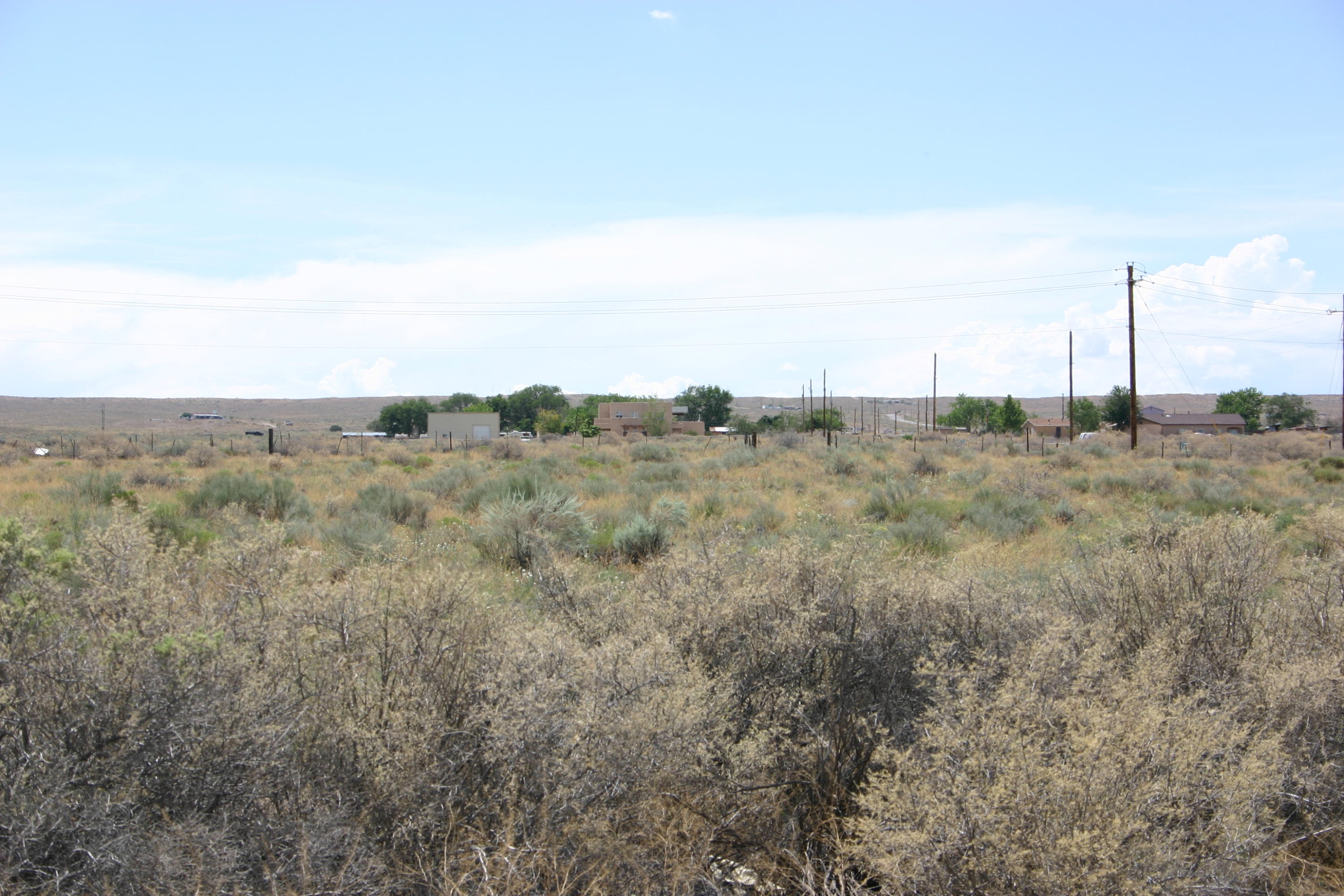 Photo 4 —  Off Pajarito (WF 9, 11, 12) Road SW