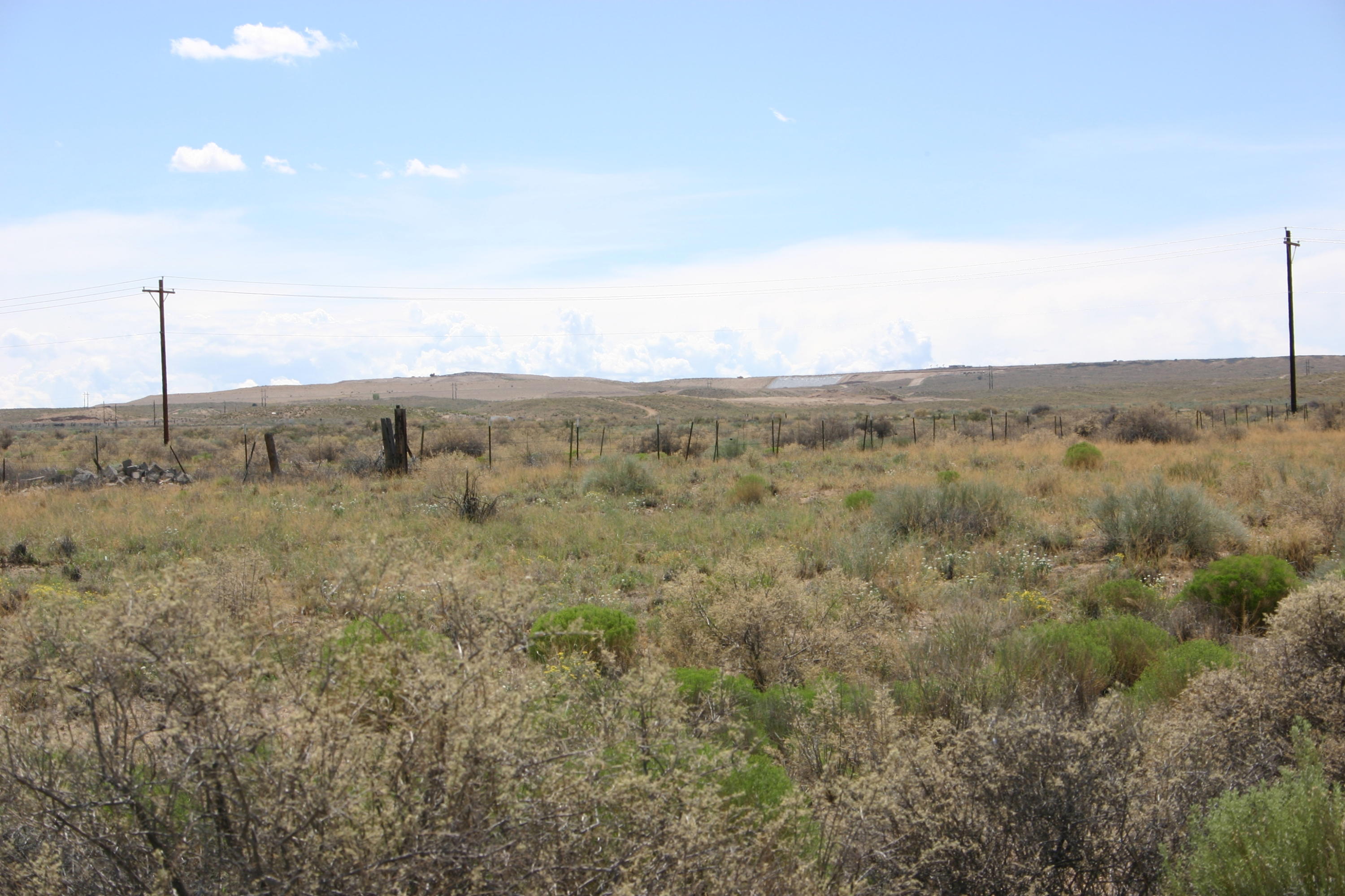 Photo 3 —  Off Pajarito (WF 9, 11, 12) Road SW