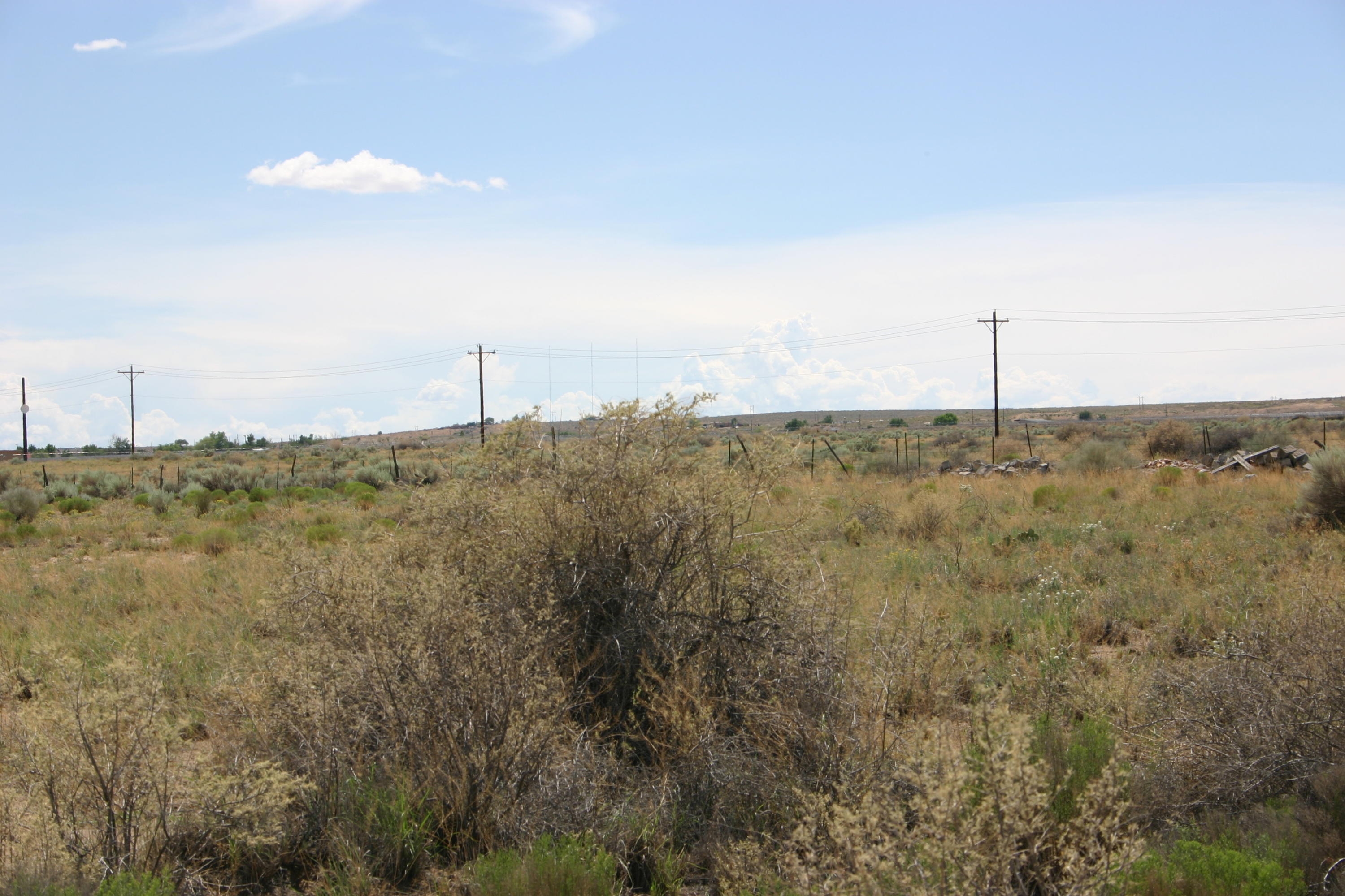 Photo 2 —  Off Pajarito (WF 9, 11, 12) Road SW