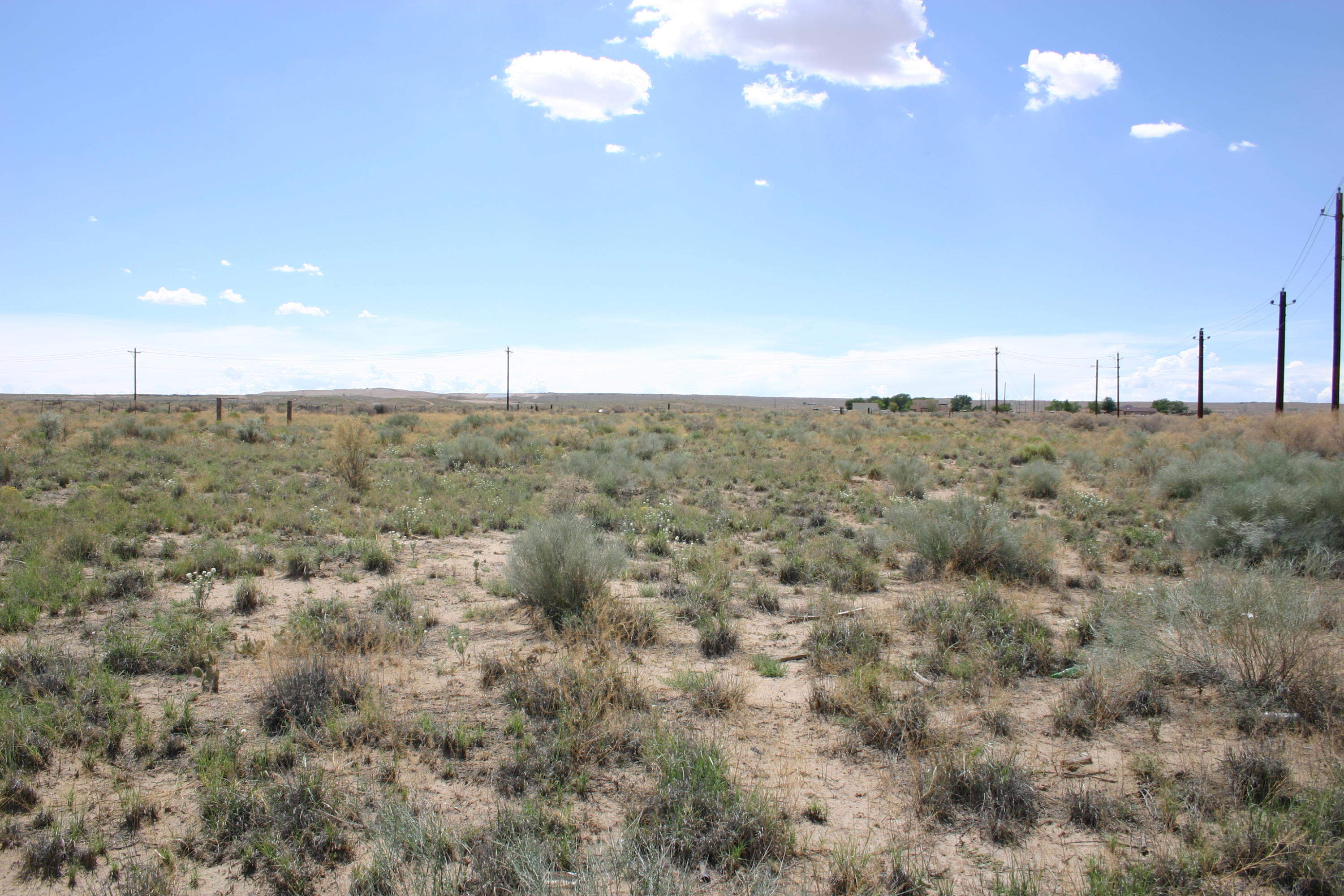 Photo 13 —  Off Pajarito (WF 9, 11, 12) Road SW