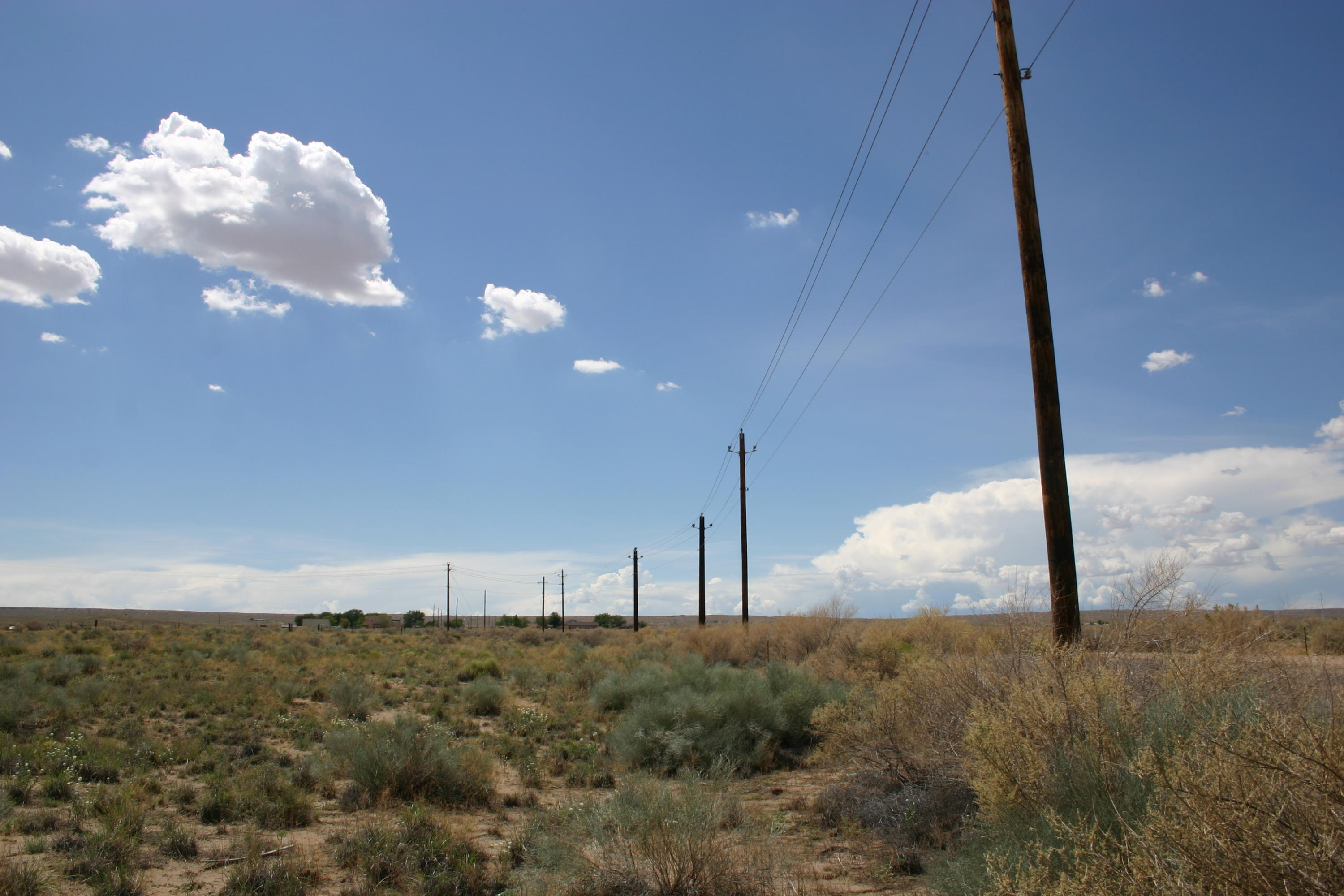 Photo 12 —  Off Pajarito (WF 9, 11, 12) Road SW
