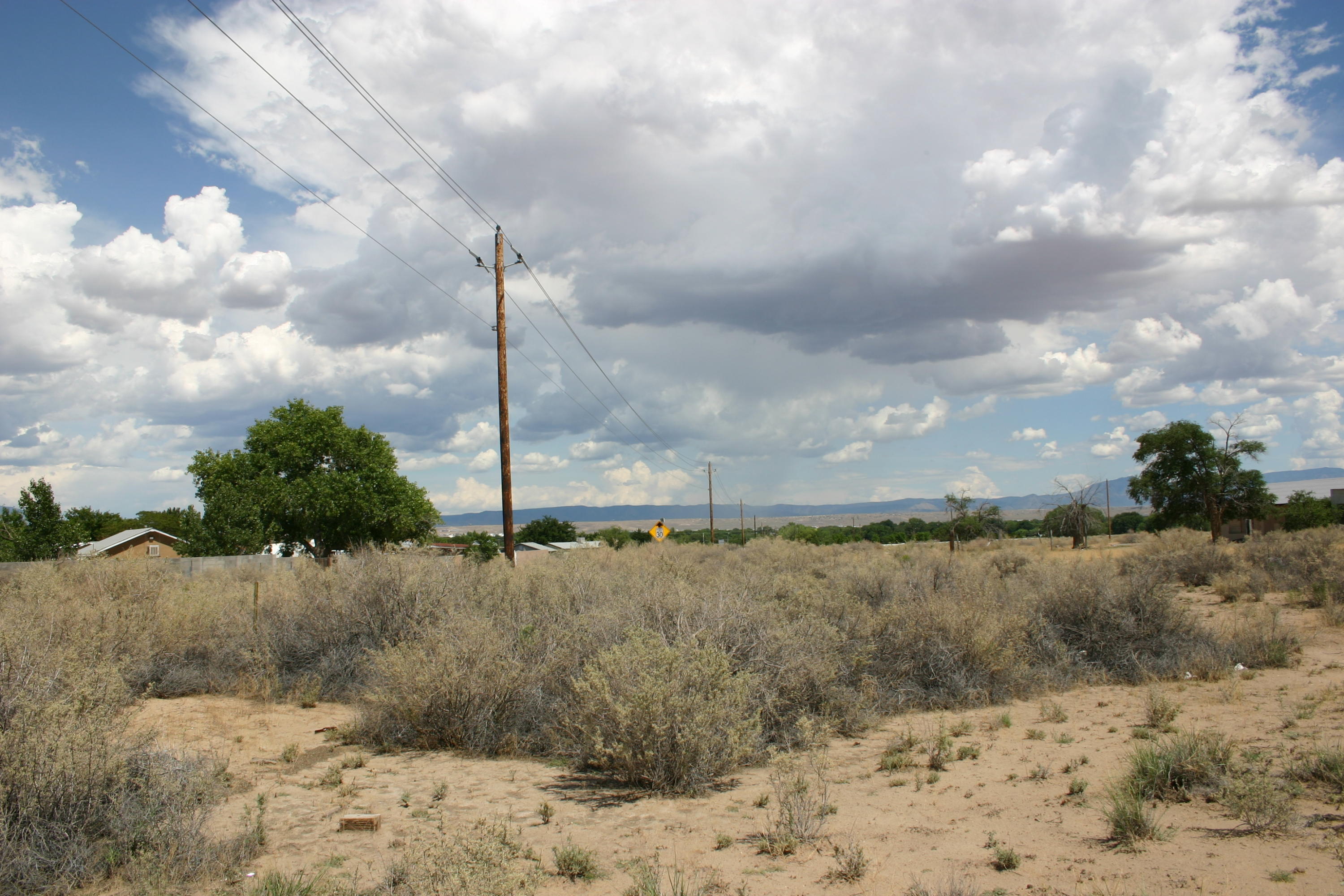 Photo 11 —  Off Pajarito (WF 9, 11, 12) Road SW