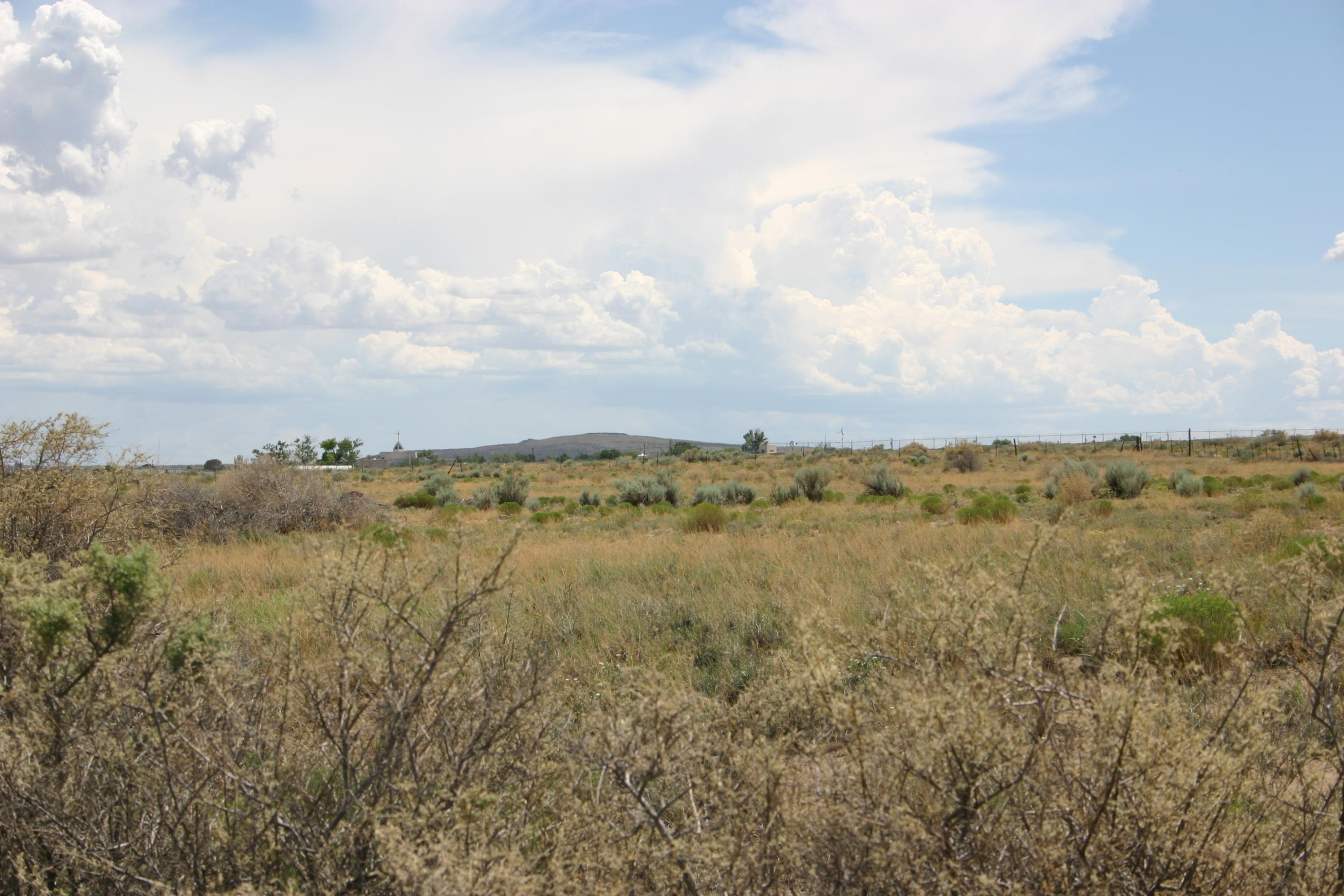 Photo 10 —  Off Pajarito (WF 9, 11, 12) Road SW