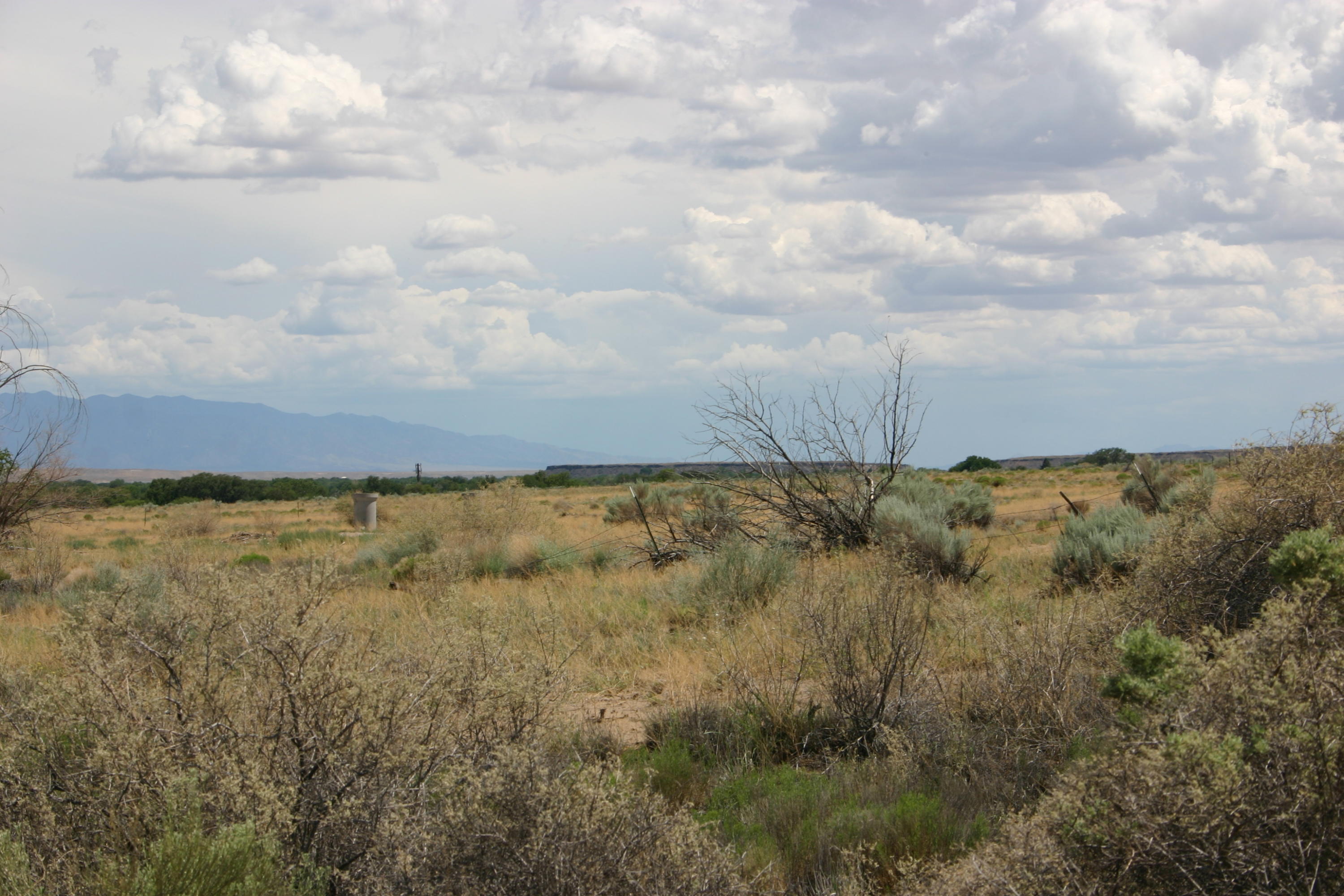 Photo 9 —  Off Pajarito (WF 9, 11, 12) Road SW