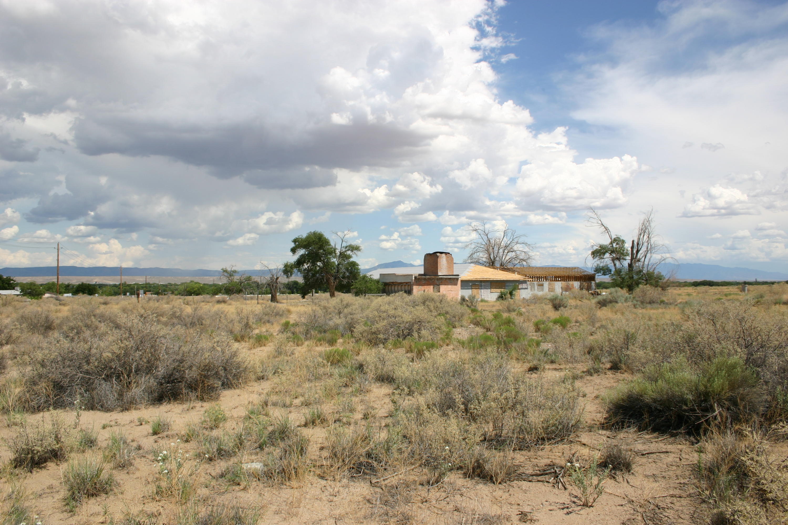 Photo 8 —  Off Pajarito (WF 9, 11, 12) Road SW
