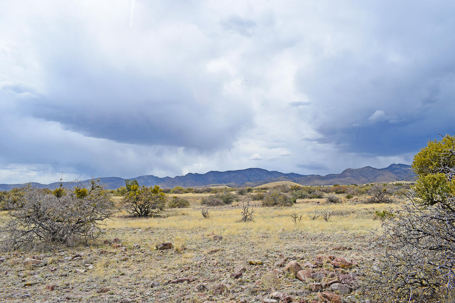 Photo 20 — Lot 39 Sunset Vista Road
