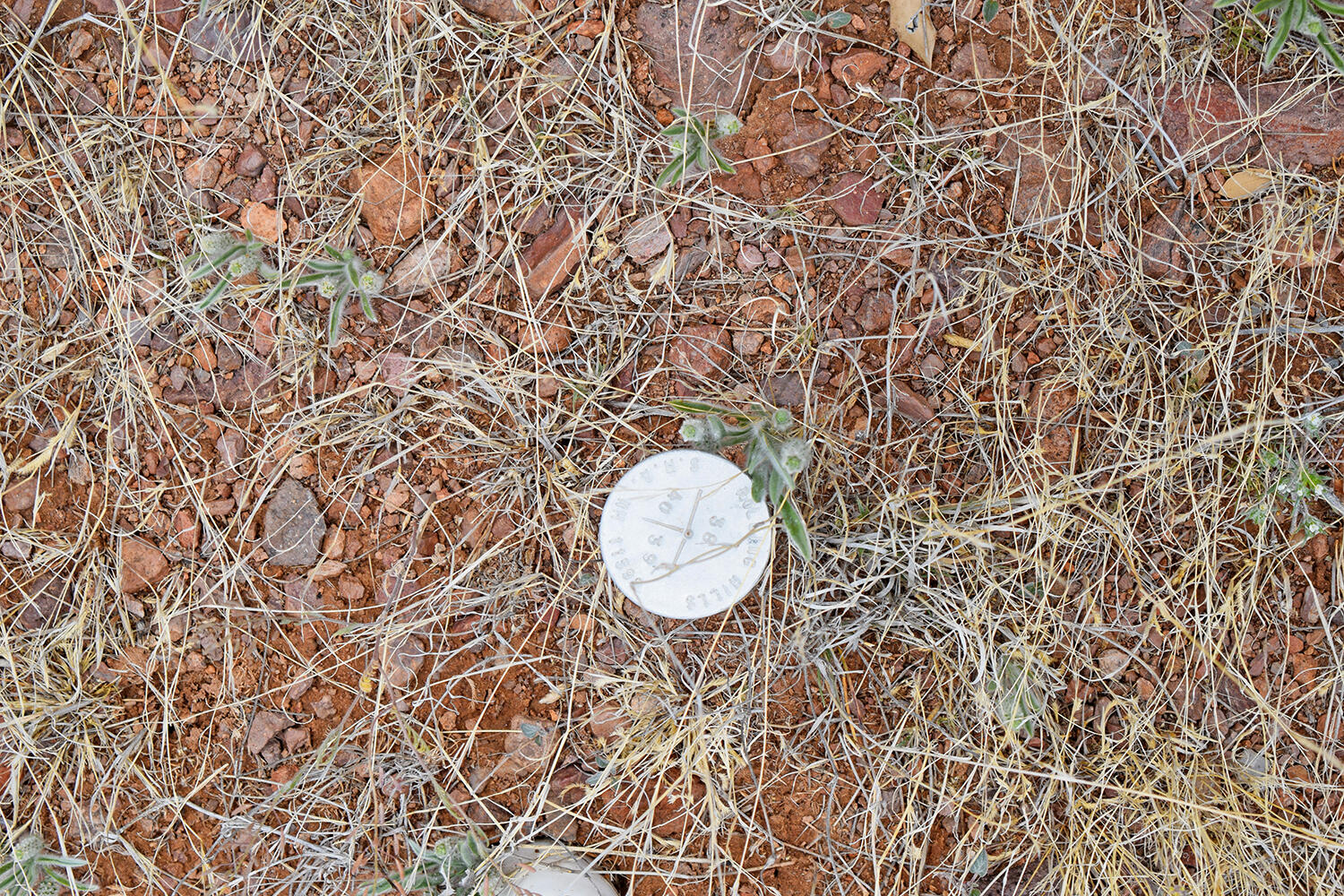 Photo 11 — Lot 39 Sunset Vista Road