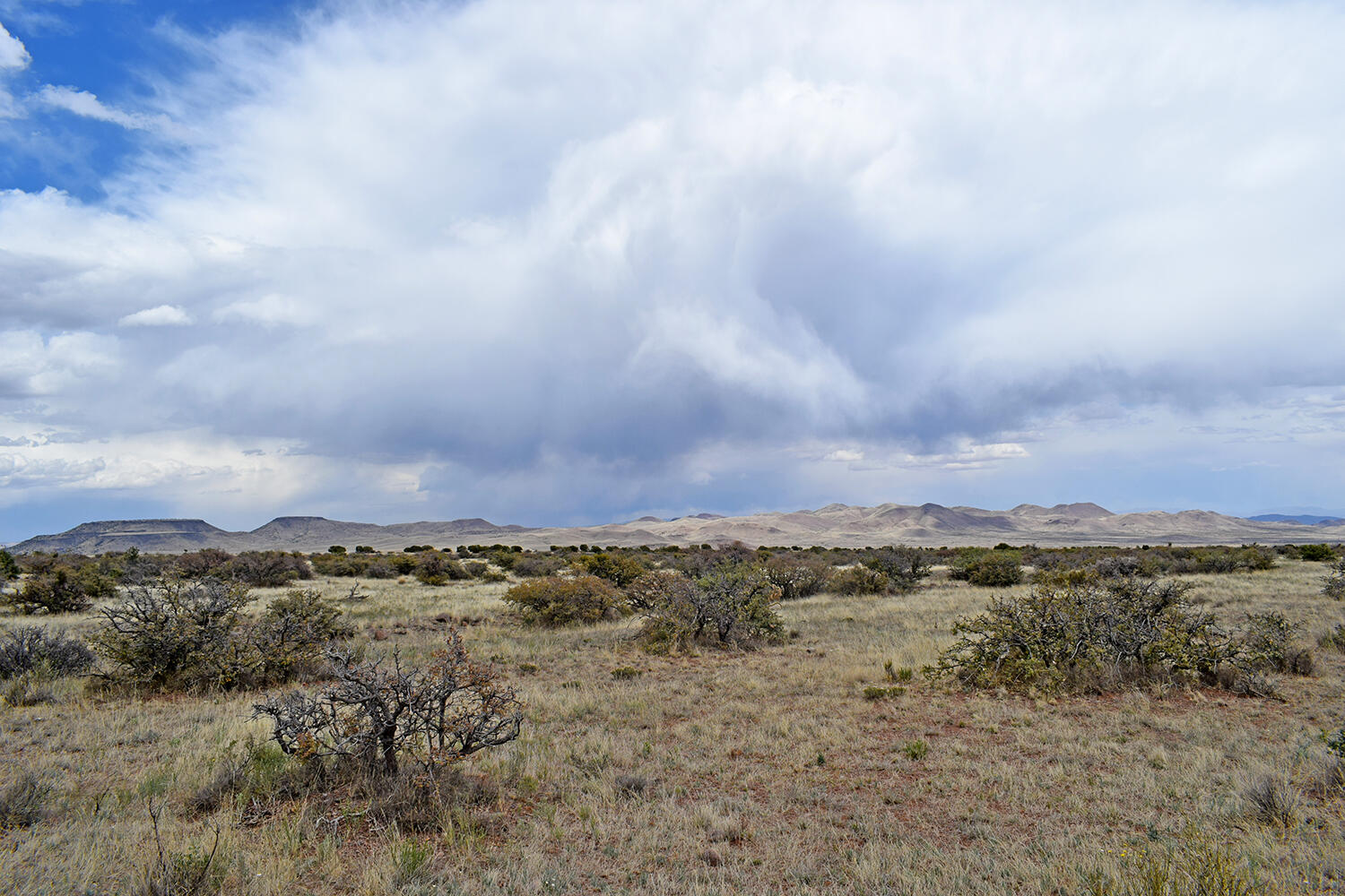 Photo 10 — Lot 39 Sunset Vista Road
