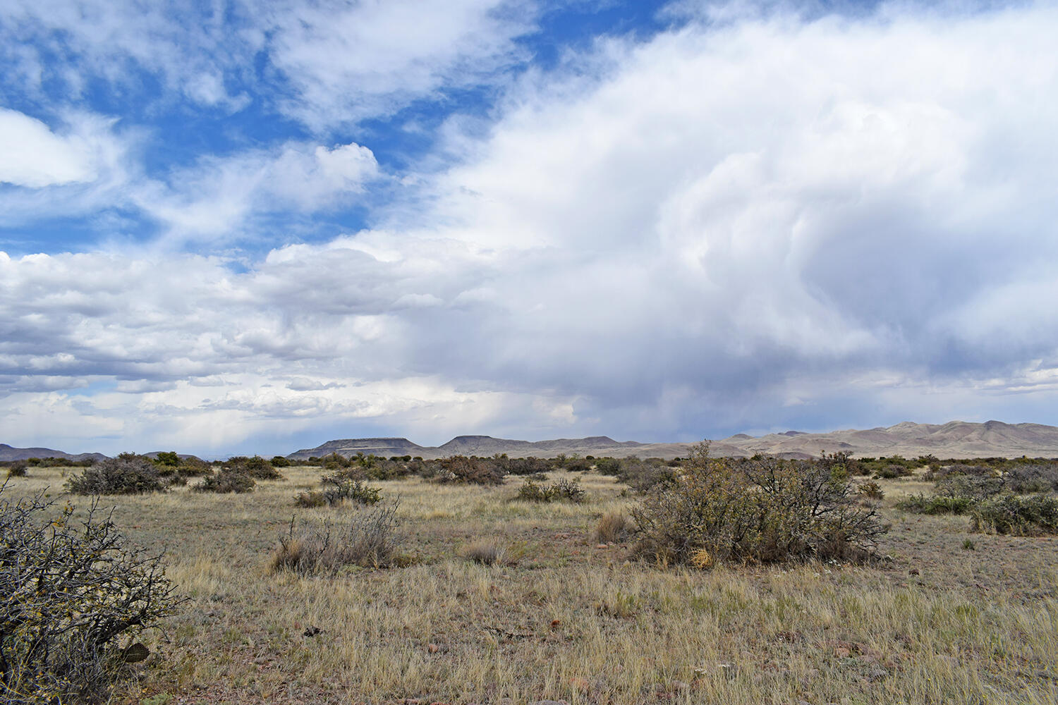 Photo 3 — Lot 39 Sunset Vista Road