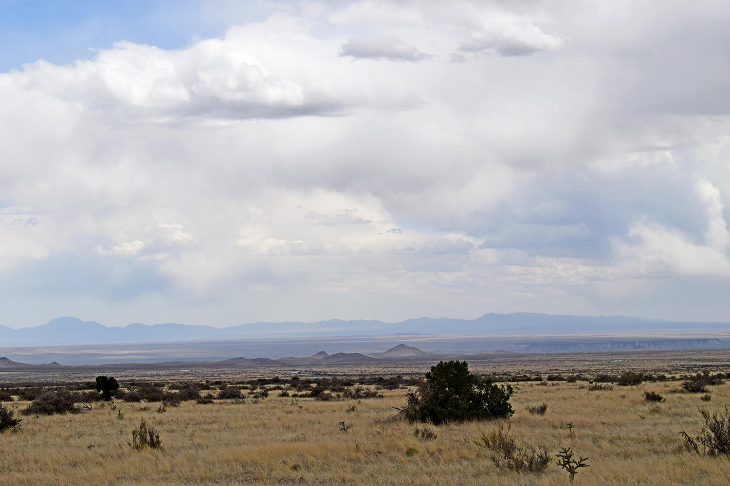 Photo 19 — Lot 40 Sunset Vista Road