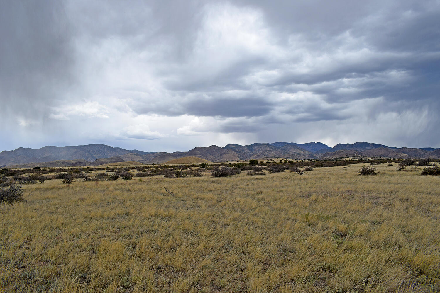 Photo 18 — Lot 40 Sunset Vista Road